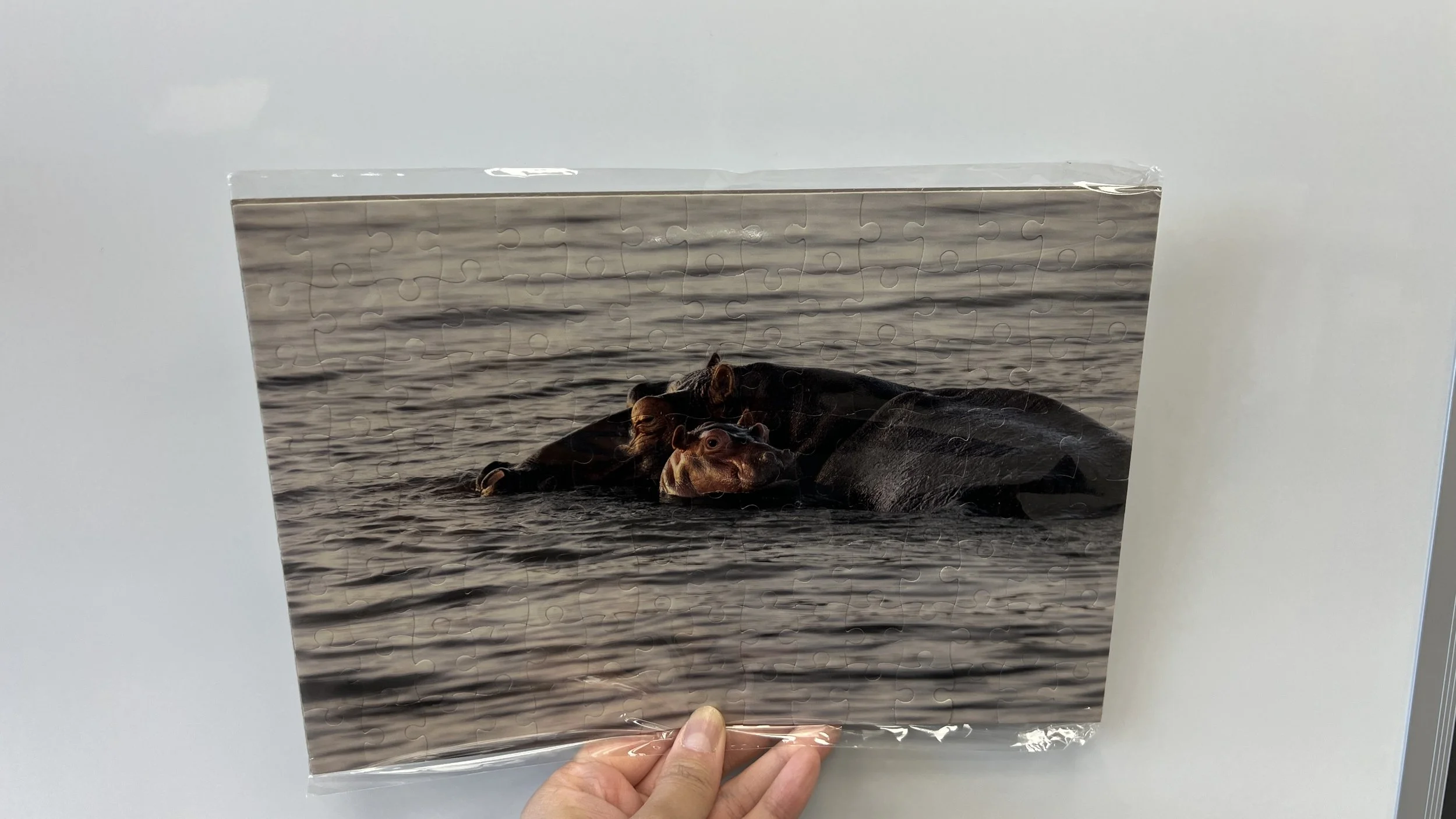 Custom Jigsaw Puzzles