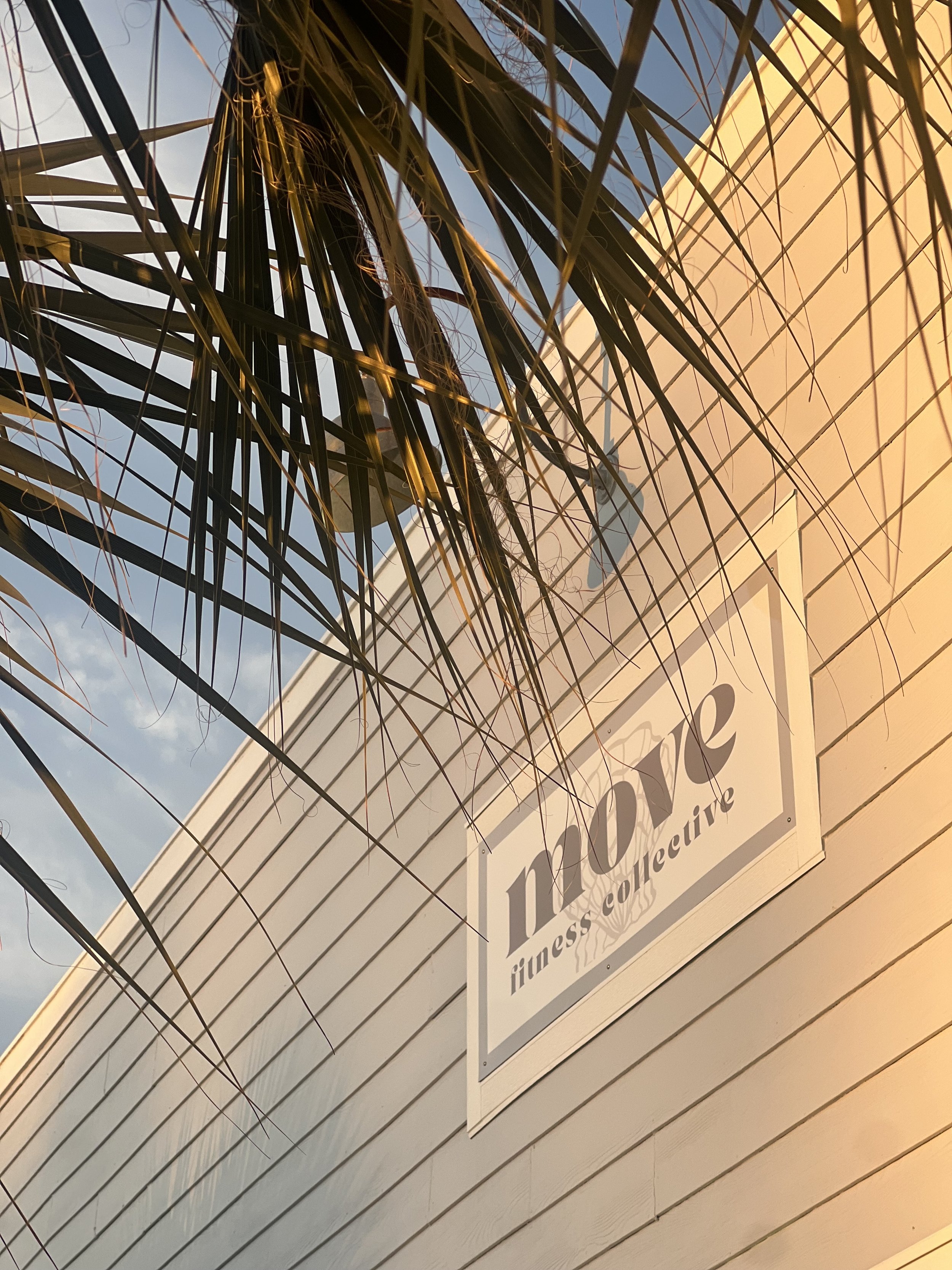 A sign on the side of a building that reads "move fitness collective," with a palm tree branch in the foreground and a partly cloudy sky in the background.