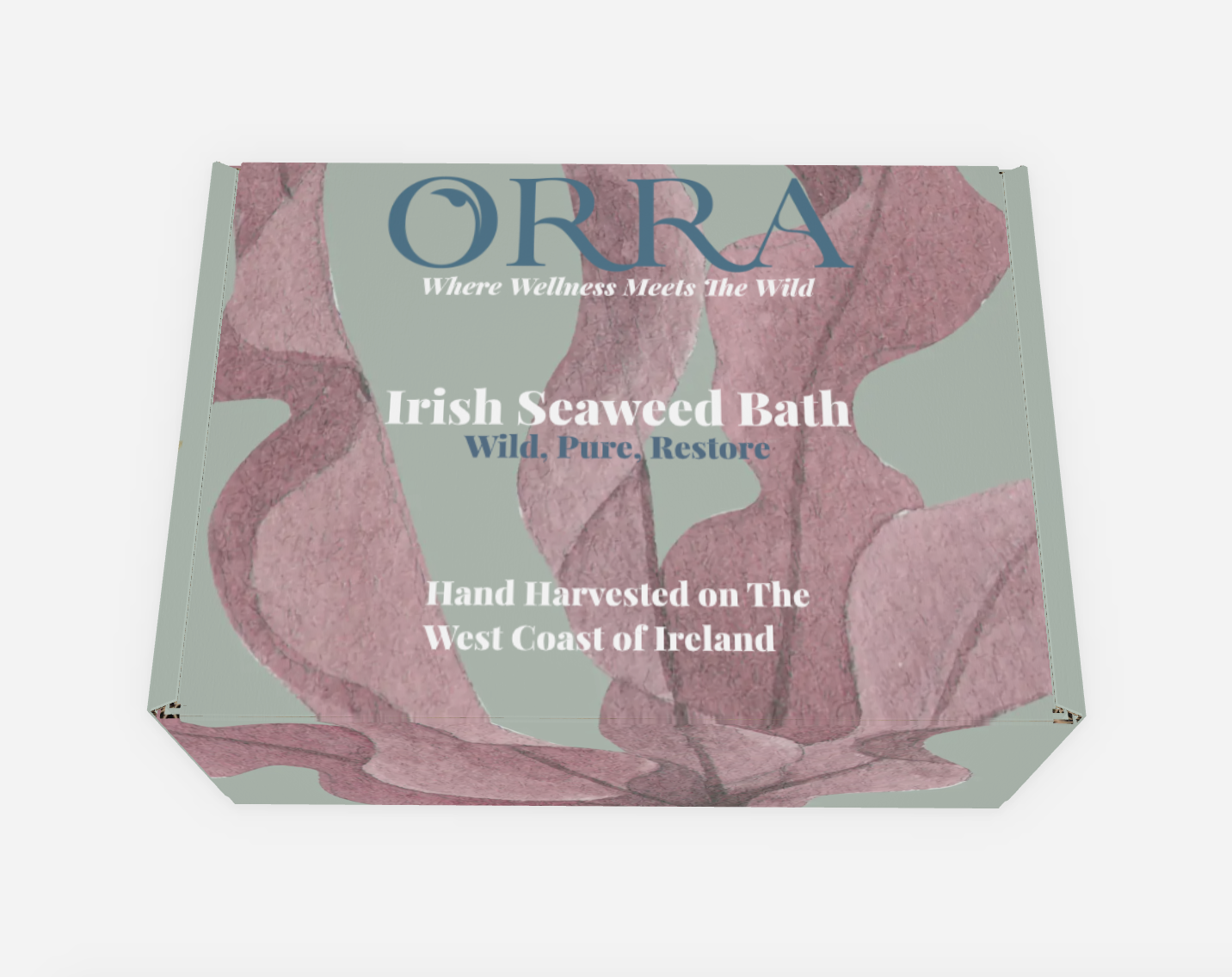 Screenshot 2025-11-17 at 12.11.39.png