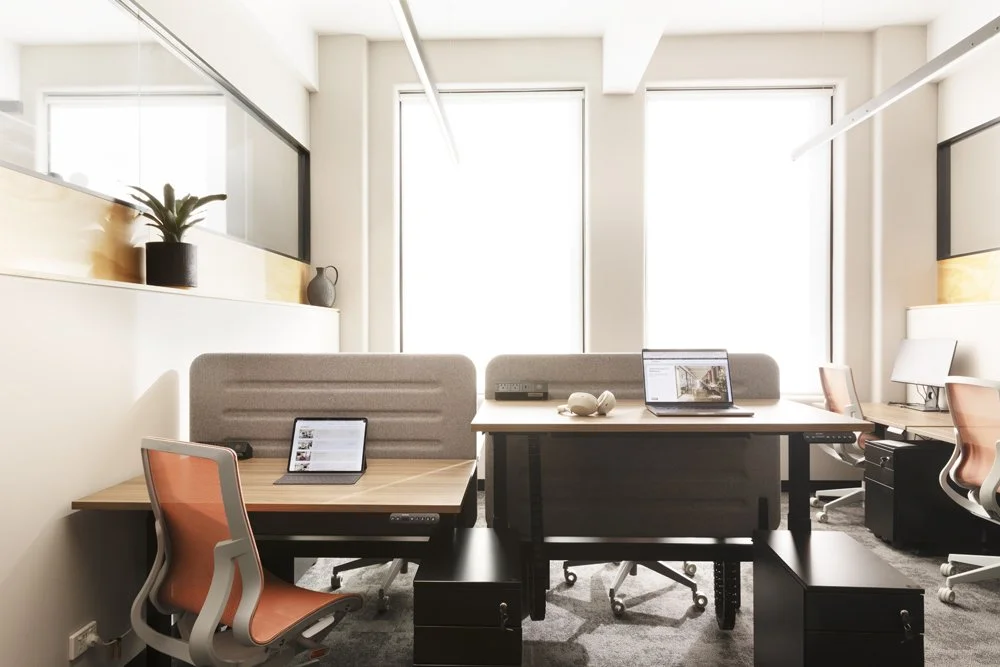 Modern shared office space with desks, chairs, laptops, large windows, and indoor plants.