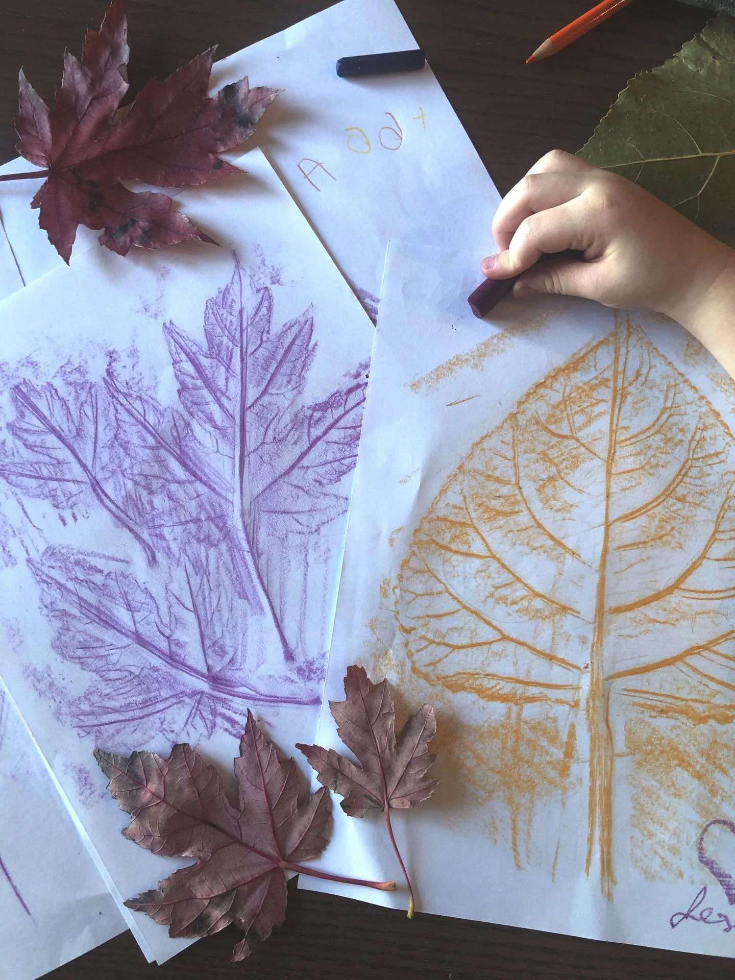 Thankful!⁠
Thankful to be able to do this work. Thankful for our clients who make that possible. Thankful for your trust in me and this business. Thankful for time with family and a job that allows me to work from home a lot and be close to them. Wis