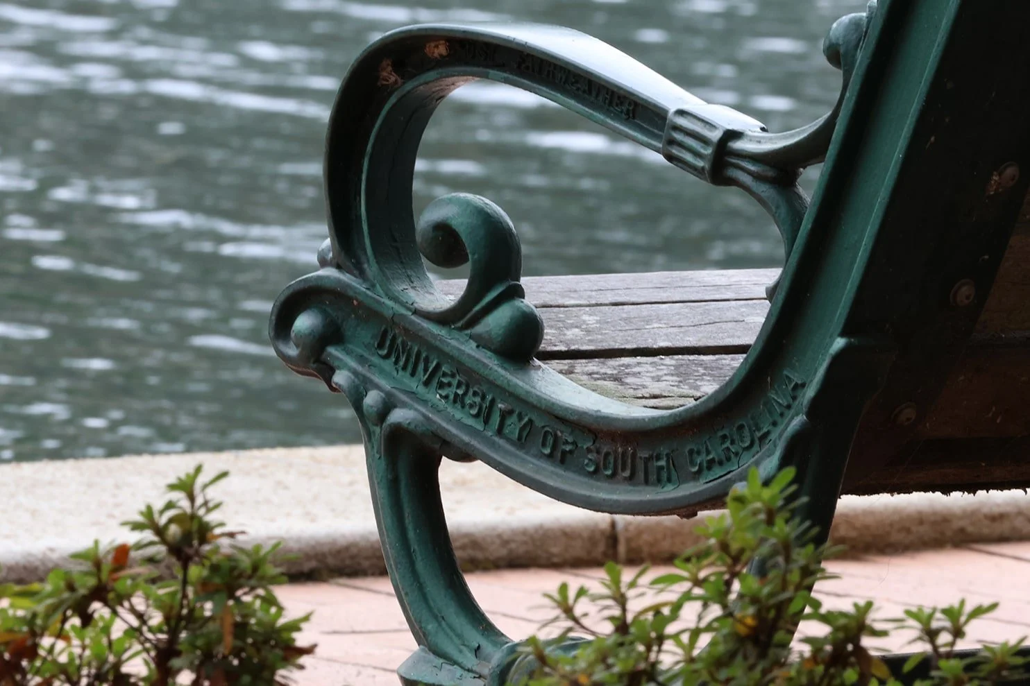 A green metal bench with a wooden seat near a body of water, with the words 'UNIVERSITY OF SOUTH CAROLINA' embossed on the armrest, surrounded by small bushes.