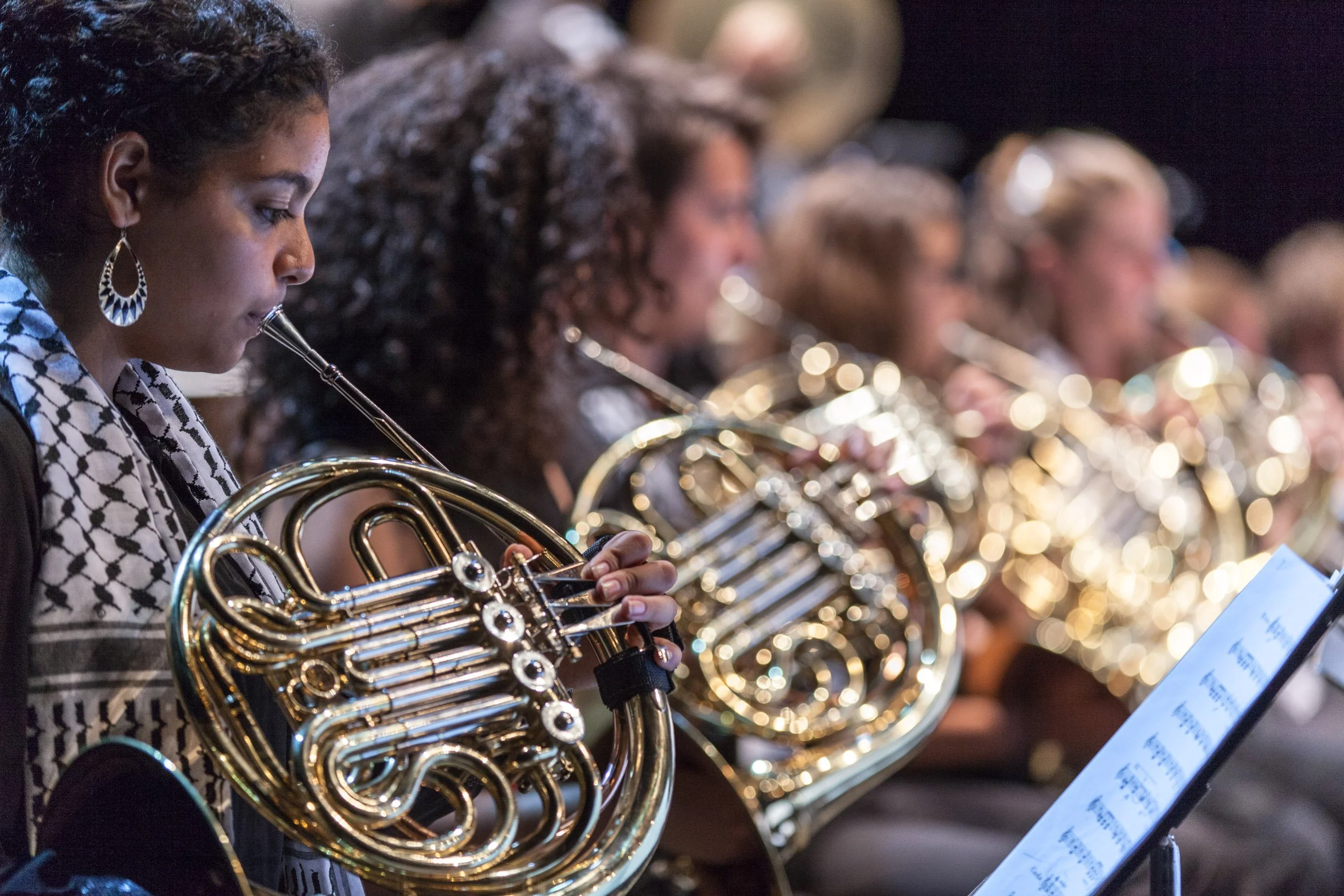 Palestine Youth Orchestra Fundraiser