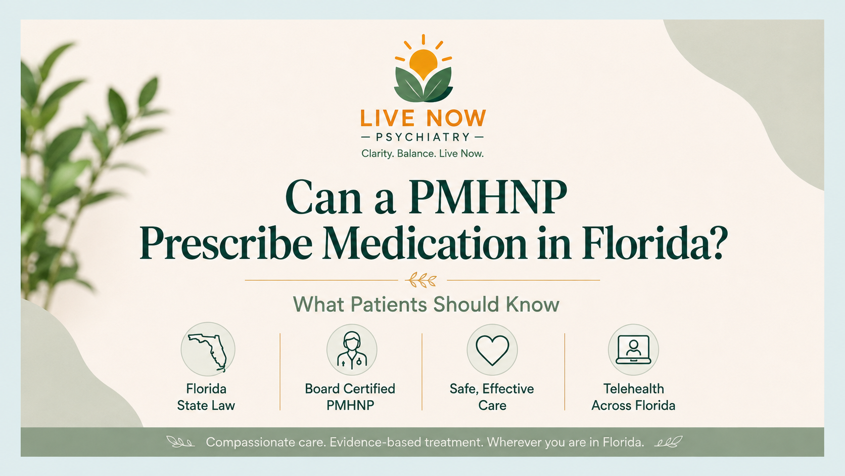 Can a PMHNP Prescribe Medication in Florida? What Patients Should Know