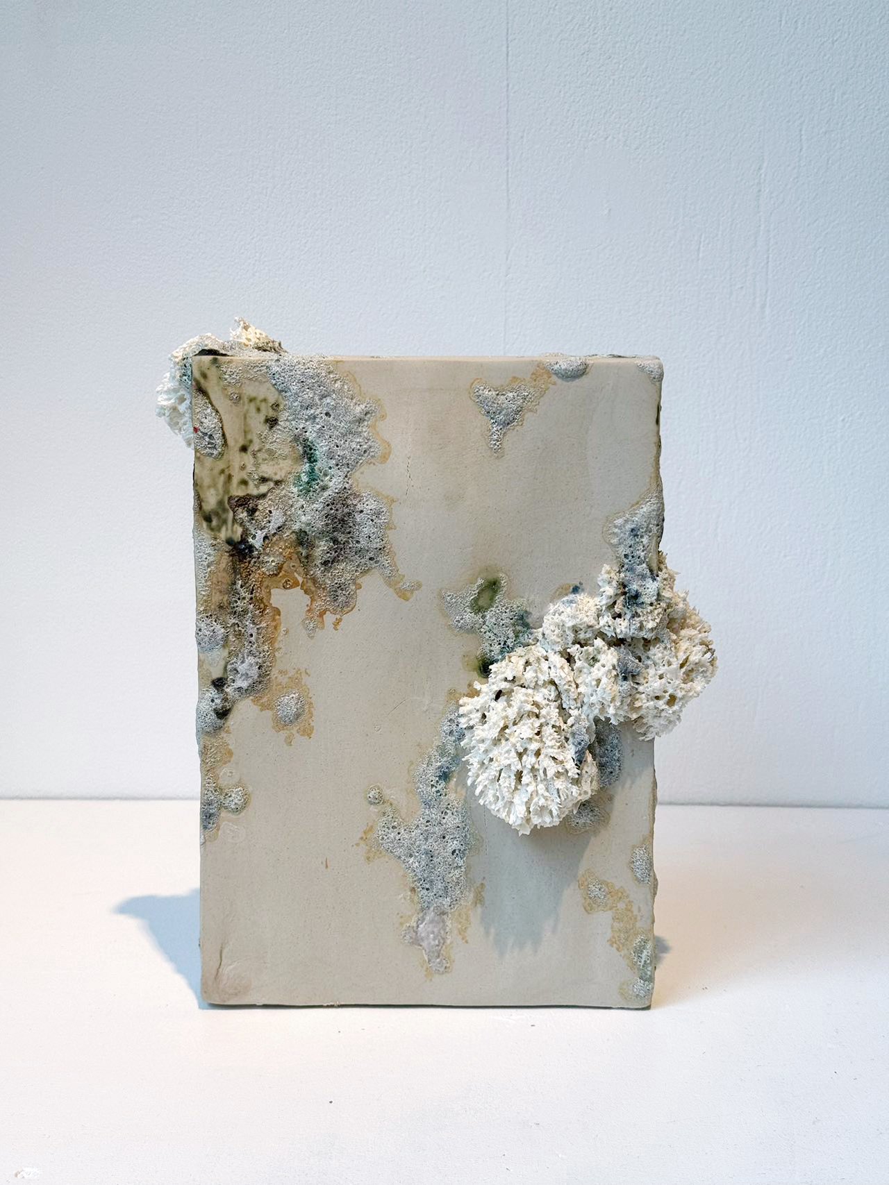 Fungi, 2024, KGM stoneware clay, porcelain slip, glaze, 23 x 28.2 x 8.25 cm