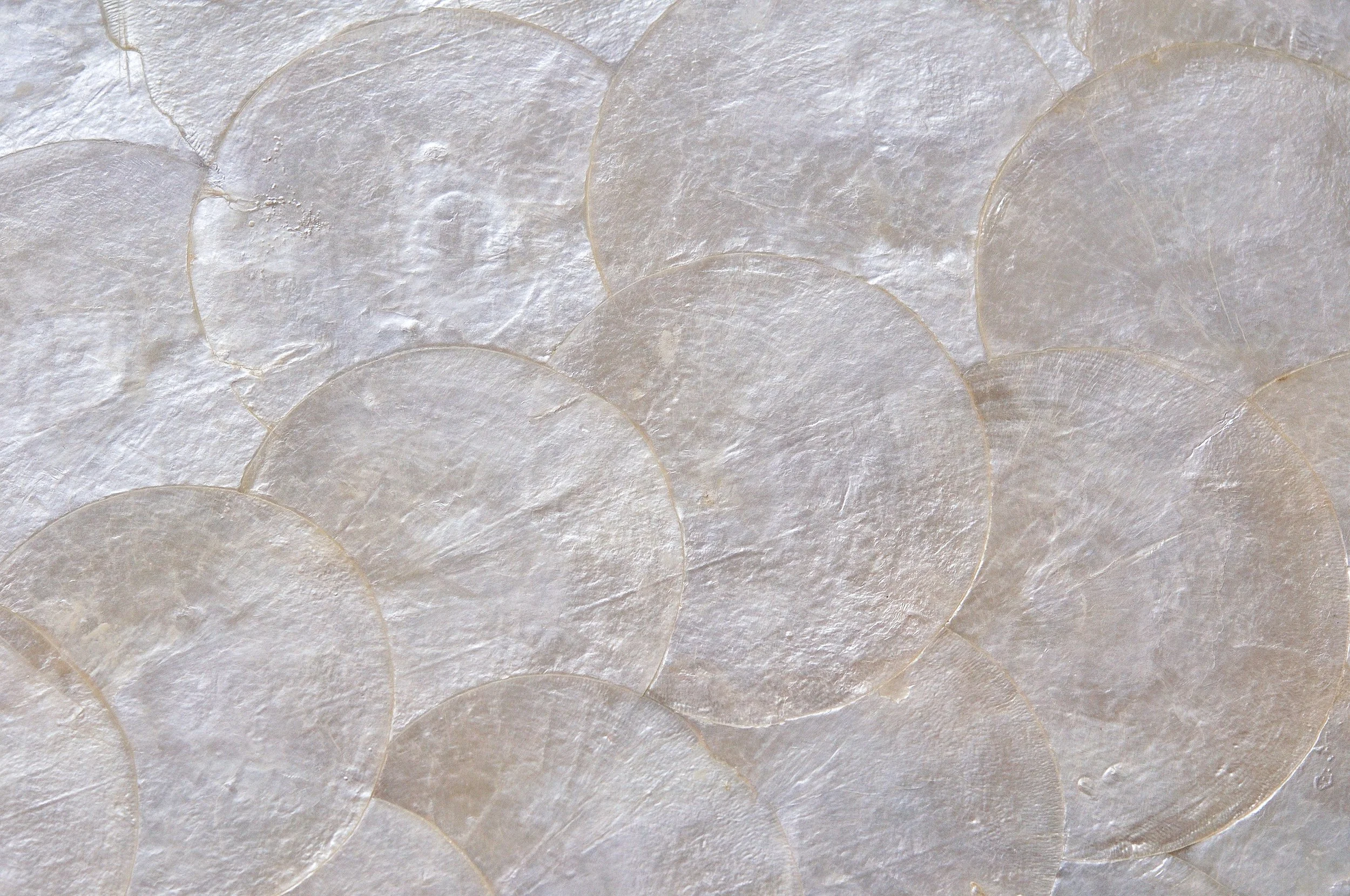 Close-up of overlapping translucent, circular soap or wax discs with textured, frosted appearance.