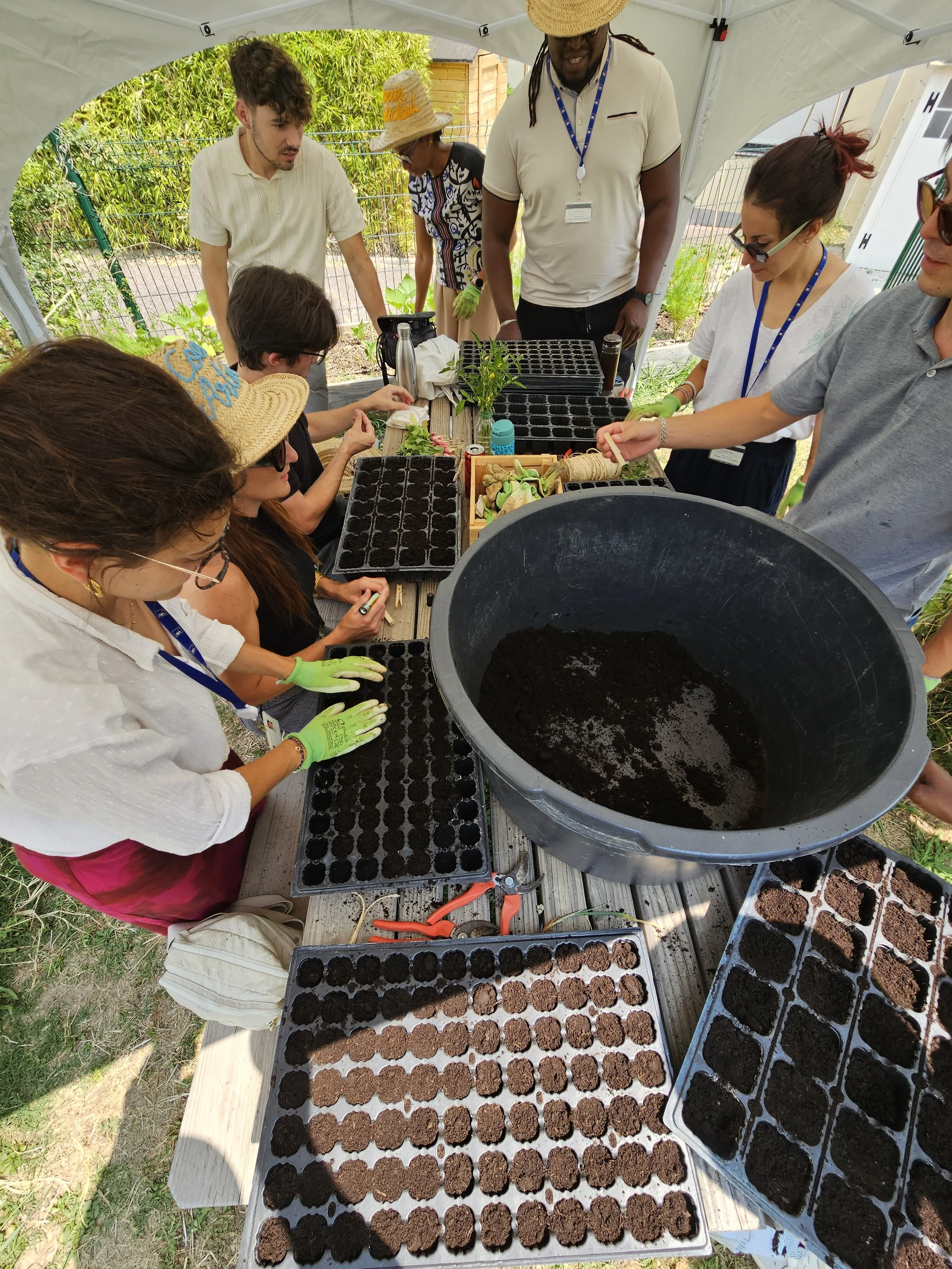 Potager d’entreprise : l’espace vert qui booste le bien-être et la créativité au travail