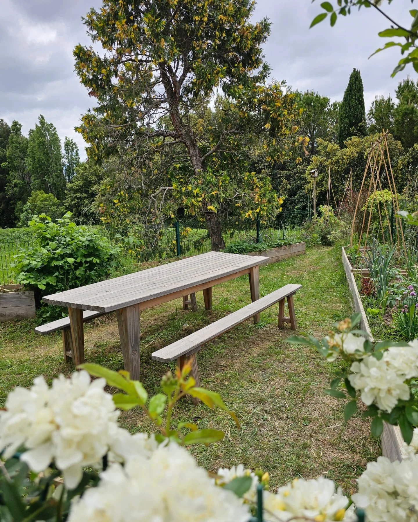 Hier dans le potager du siege d'AXA Marseille,  c'&eacute;tait "LE" jour des plantations : tomates, courgettes, concombre... pour r&ecirc;ver d&eacute;j&agrave; &agrave; l'&eacute;t&eacute;.

Merci &agrave; tous les Collaborateurs pour ce b