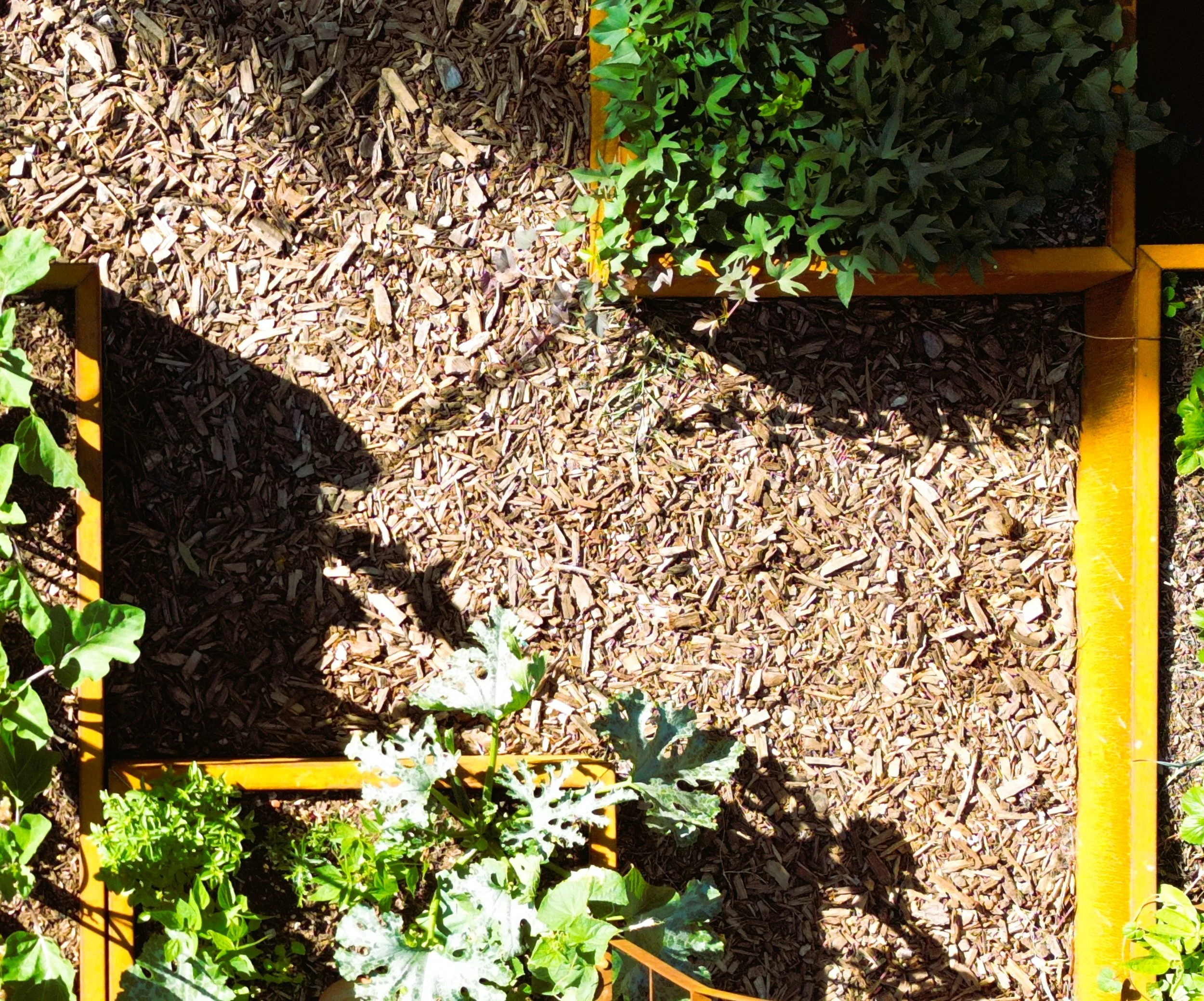 zoom detail 6.JPG