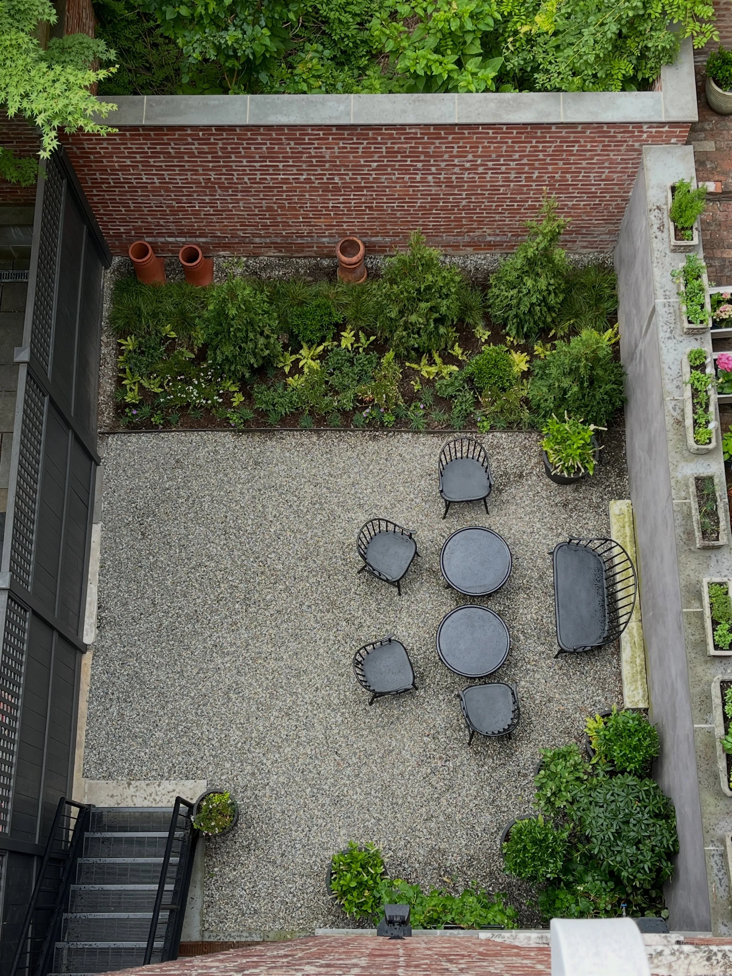 A woodland edge tucked behind a Manhattan townhouse.&nbsp;

We started out with a backyard in need of vision and some TLC. In early spring I removed gravel and wire mesh from the back quarter of the yard, then dug out the five stumps of trees that ha