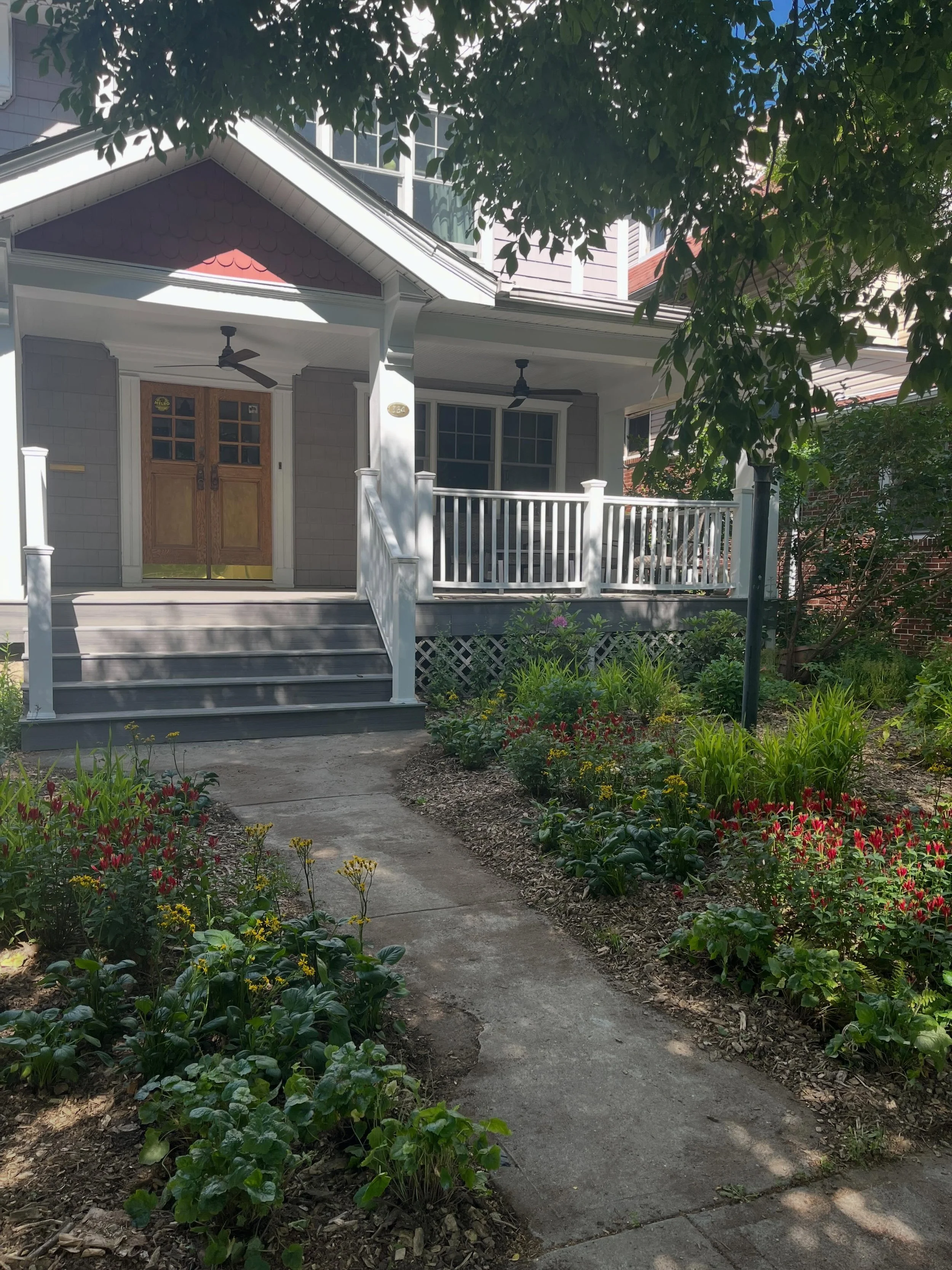 Some scenes from a lawn-to-native work in progress that has kept me busy for many months! The front yard in various stages of bloom from April to May, with more still to be planted. A wild delivery day in April. Mulch drop day in December (look at th