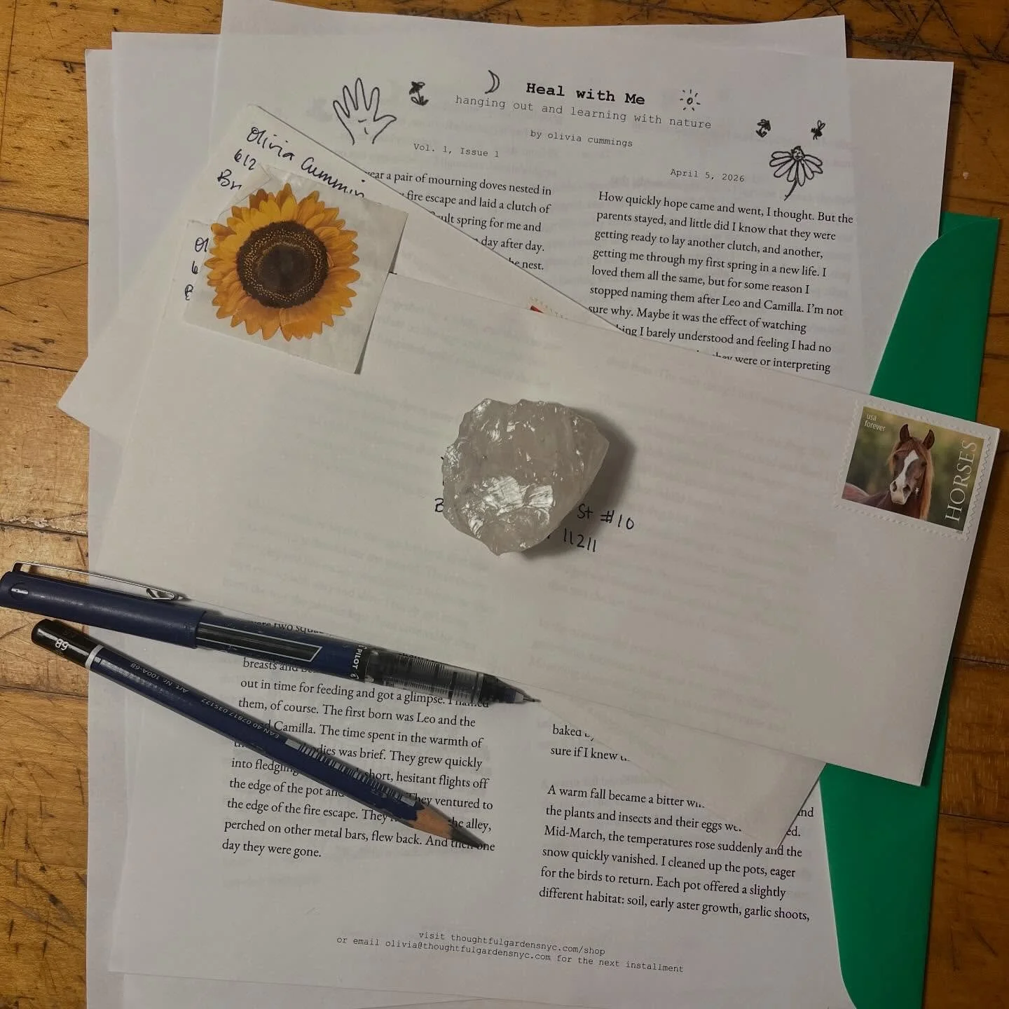 I have a newsletter and it&rsquo;s in print! It&rsquo;s called Heal with Me and it&rsquo;s about things I learn in nature. The first issue is about the happenings on my fire escape. 🪺 You can buy the first issue or subscribe at the link in my bio.