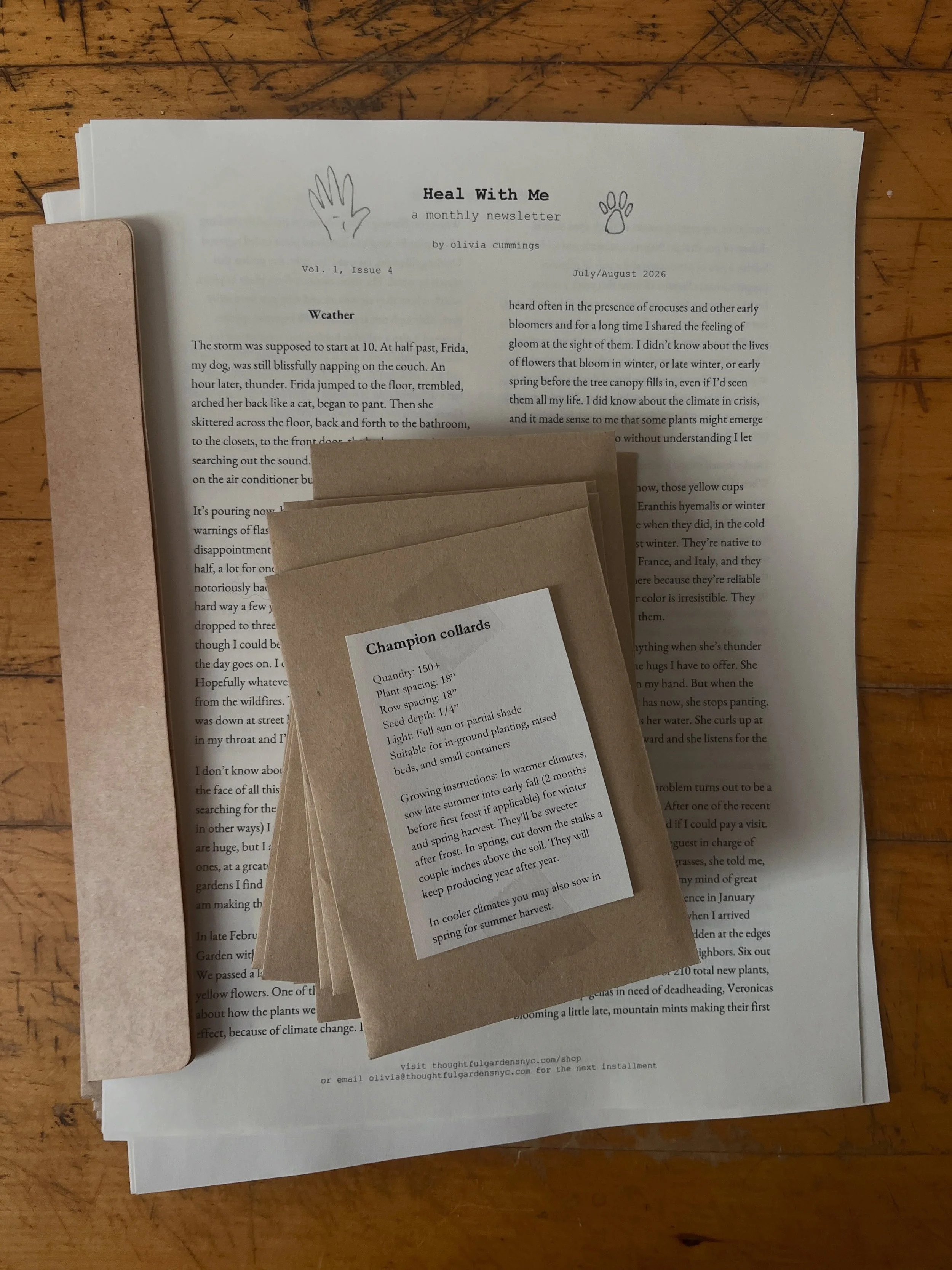 For all my dog people, this month&rsquo;s newsletter is the Frida issue. It&rsquo;s about her wisdom, the weather, and things we misunderstand in nature. And as promised, you get a packet of collard greens seeds to eat this winter 💫 
💌 subscribe at