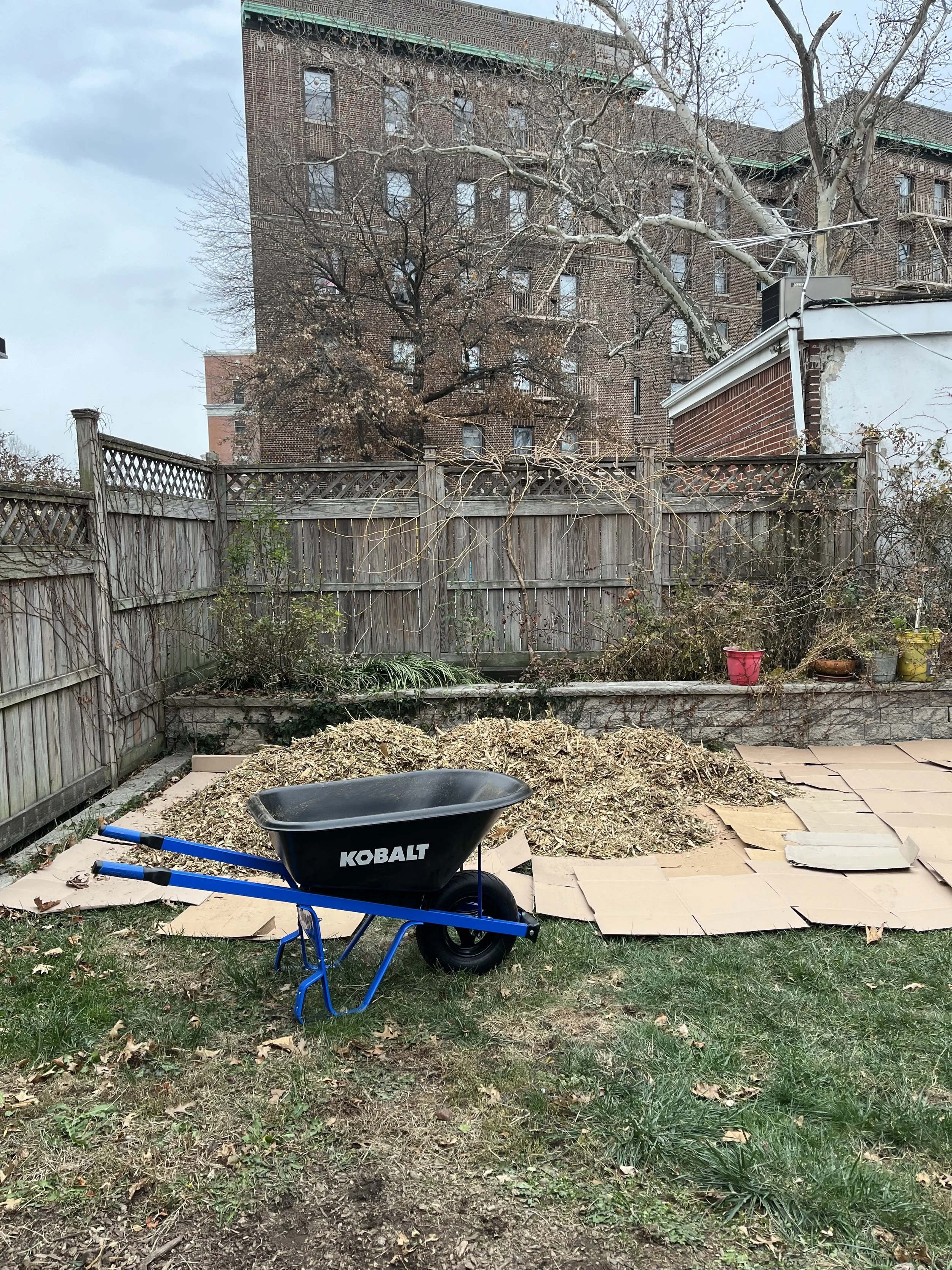 Sheet mulching in progress to kill a lawn in preparation for native garden installation at a home in Ditmas Park. 