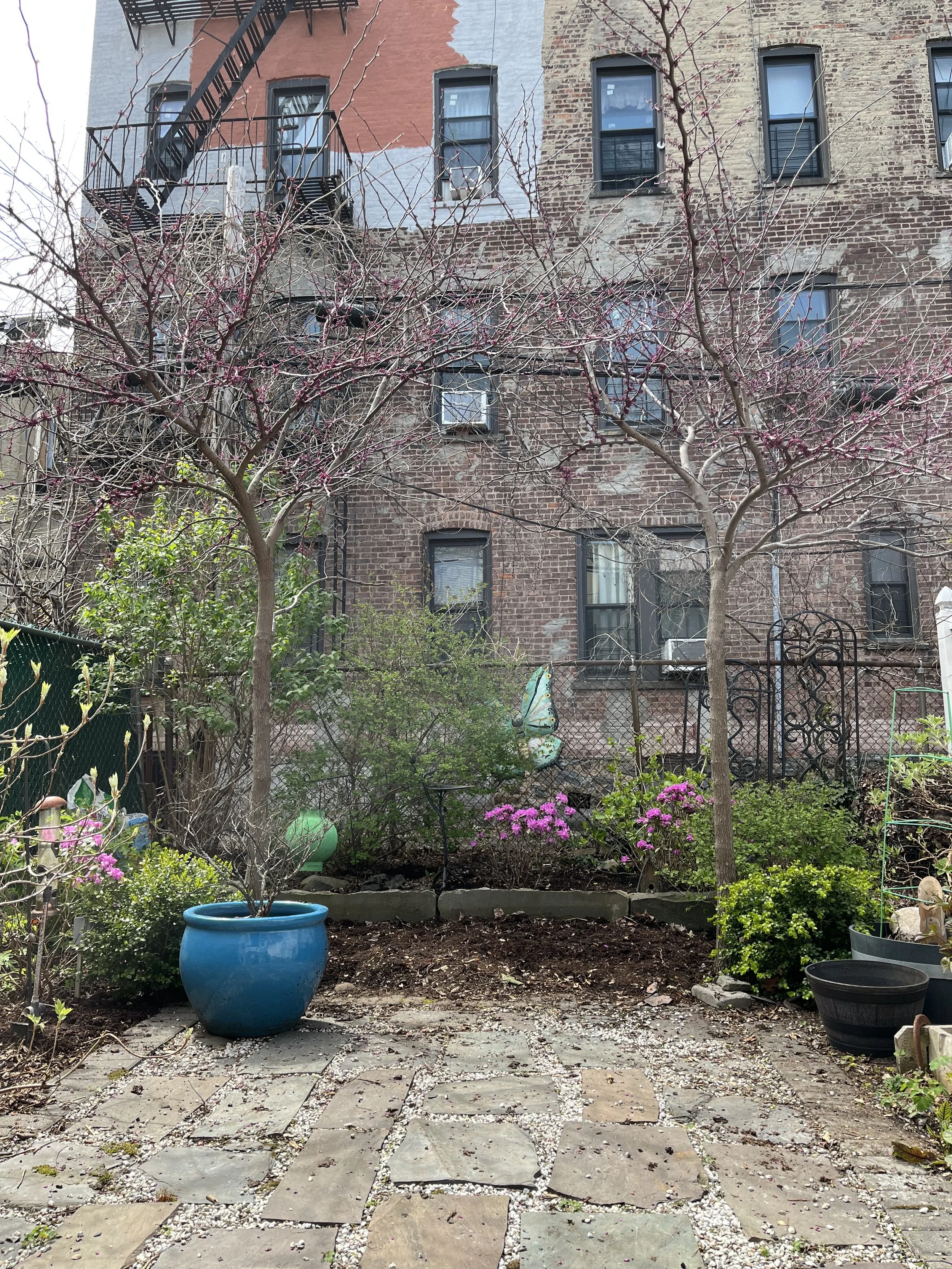 A backyard garden after spring cleaning, featuring a stone and pebble patio, redbud trees, hydrangeas, and more. 