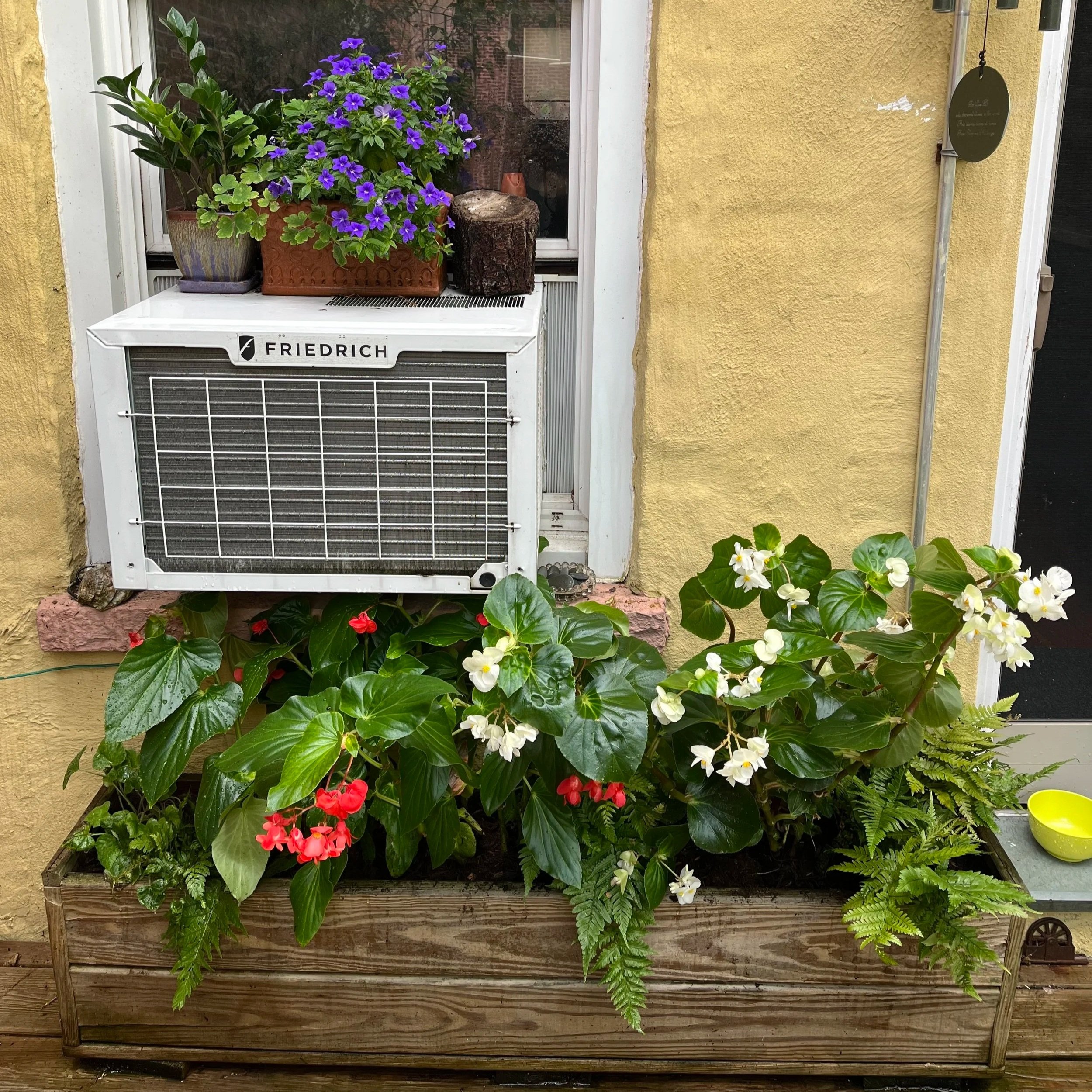 Window box installation featuring ferns, Tiarella cordifolia, and begonias at a home in Park Slope. 