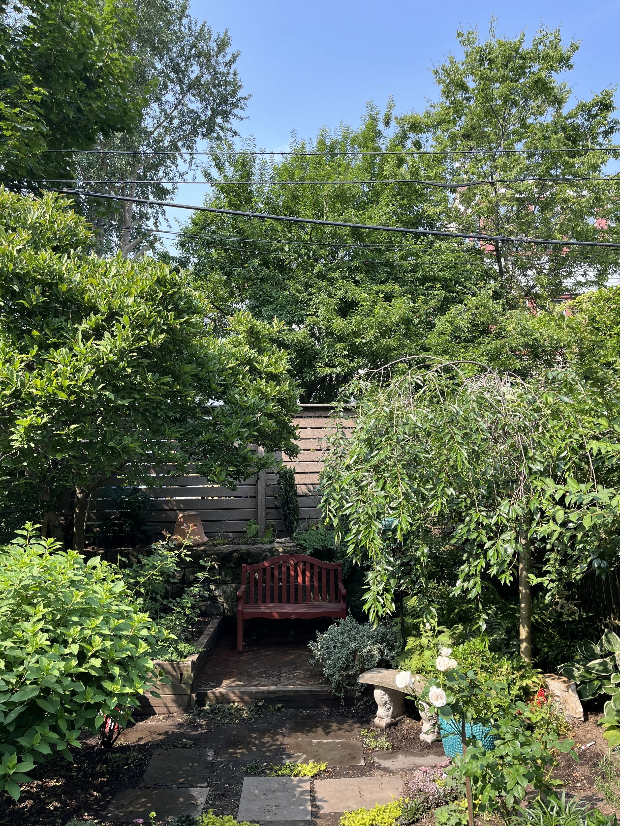 Full garden after maintenance.jpg