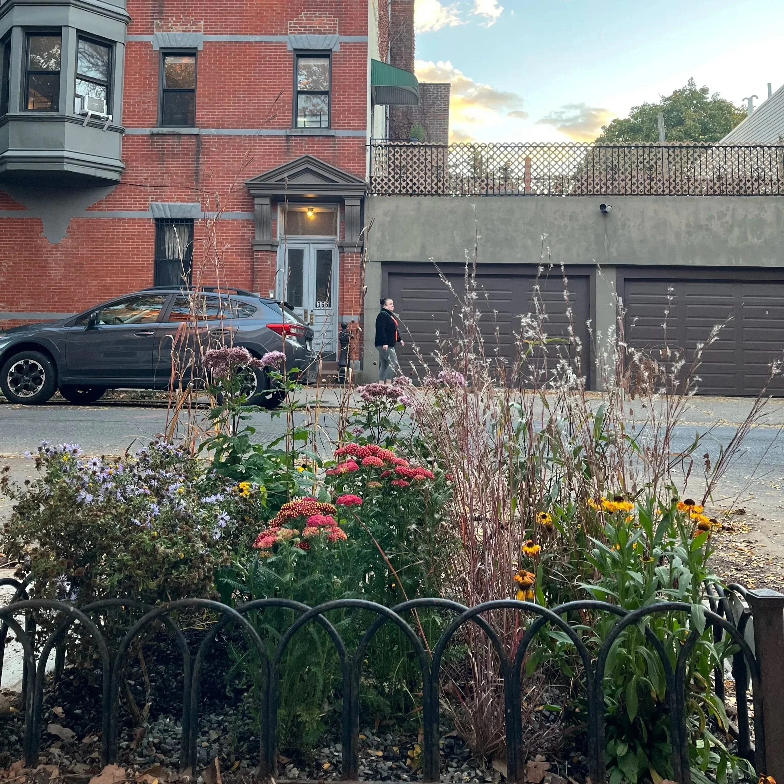 Park Slope pocket meadow early fall .jpg