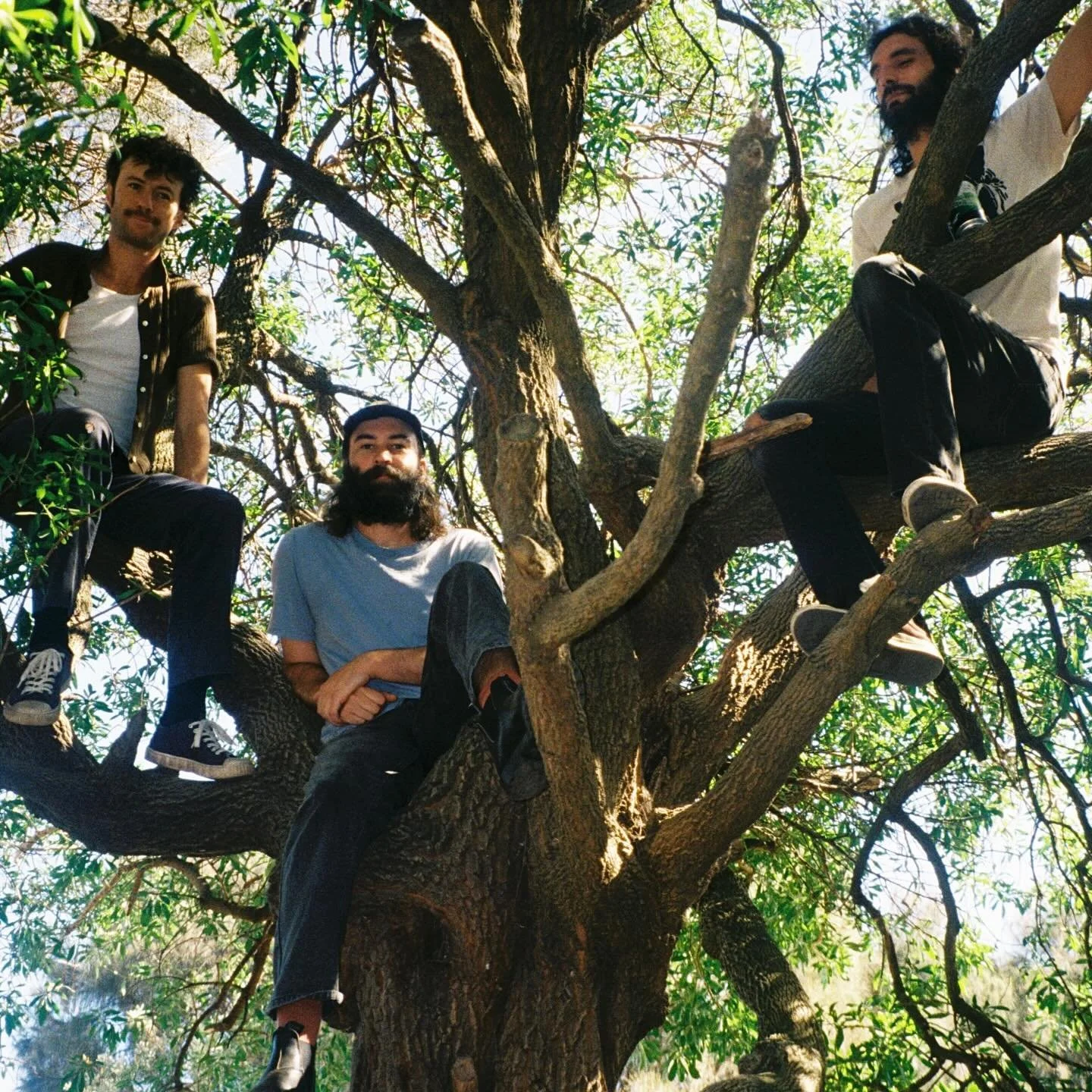 Australia&rsquo;s @o.r.b.a.n.d return with us on 6th July at The Shacklewell Arms! Get tickets via DICE