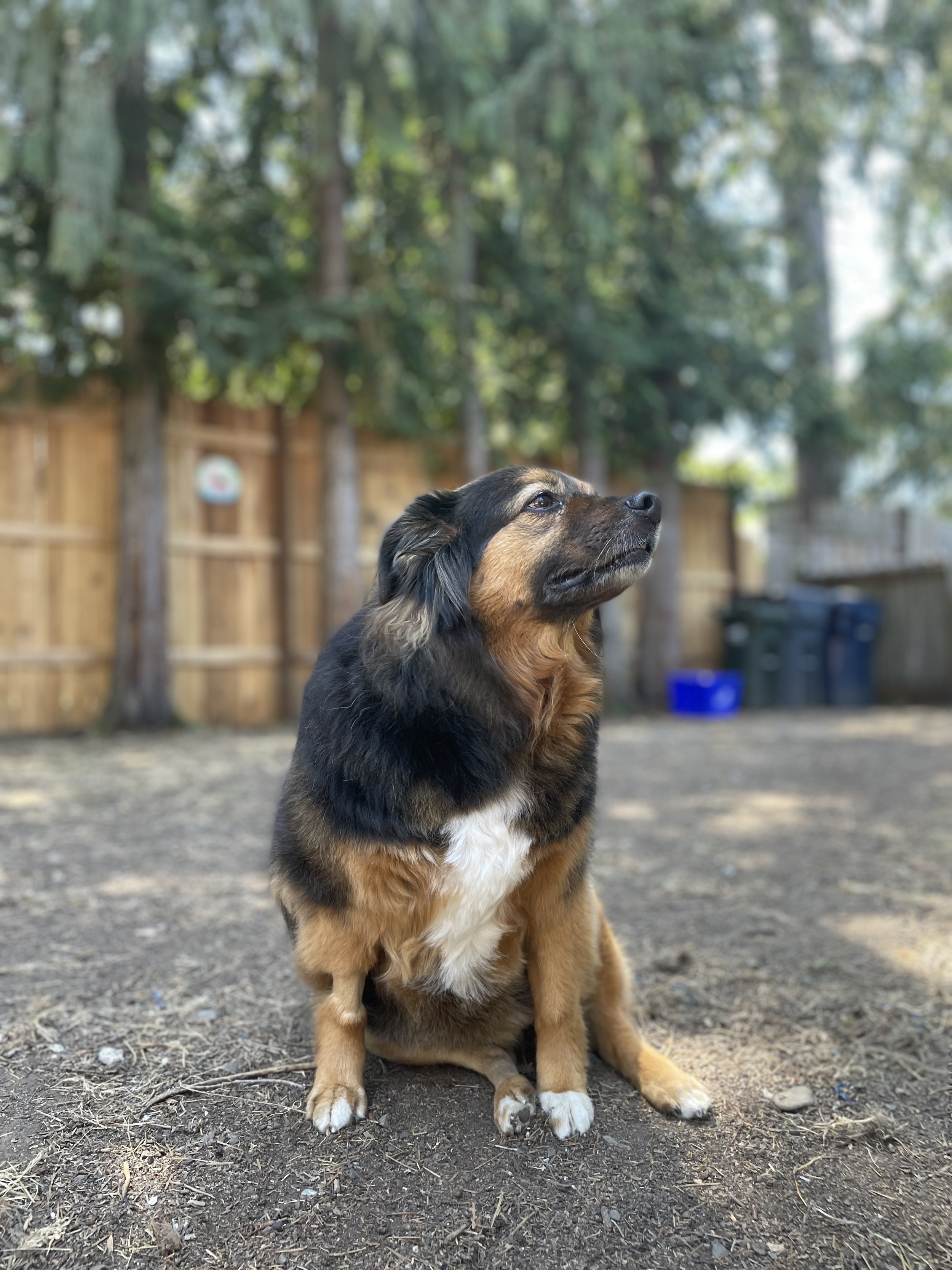 IMG_3684.JPEG