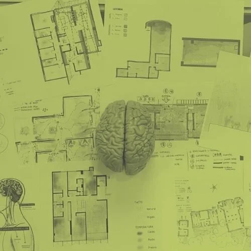 Profundización en neuroarquitectura (ed. asíncrona)