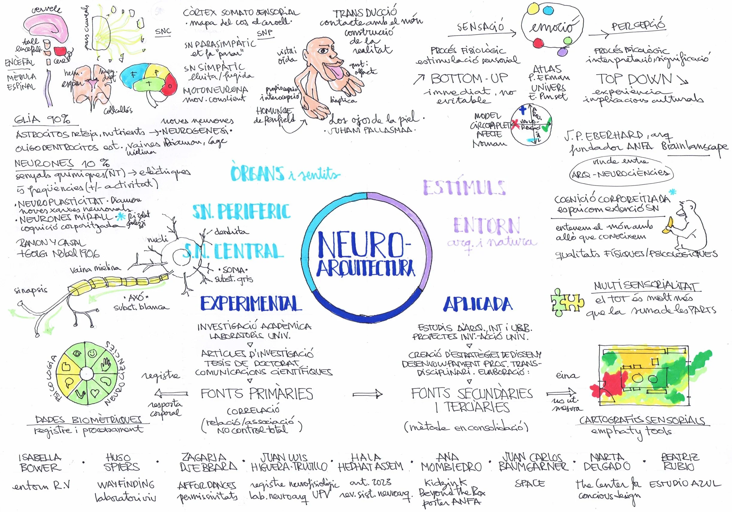 Mapa mental de la Neuroarquitectura