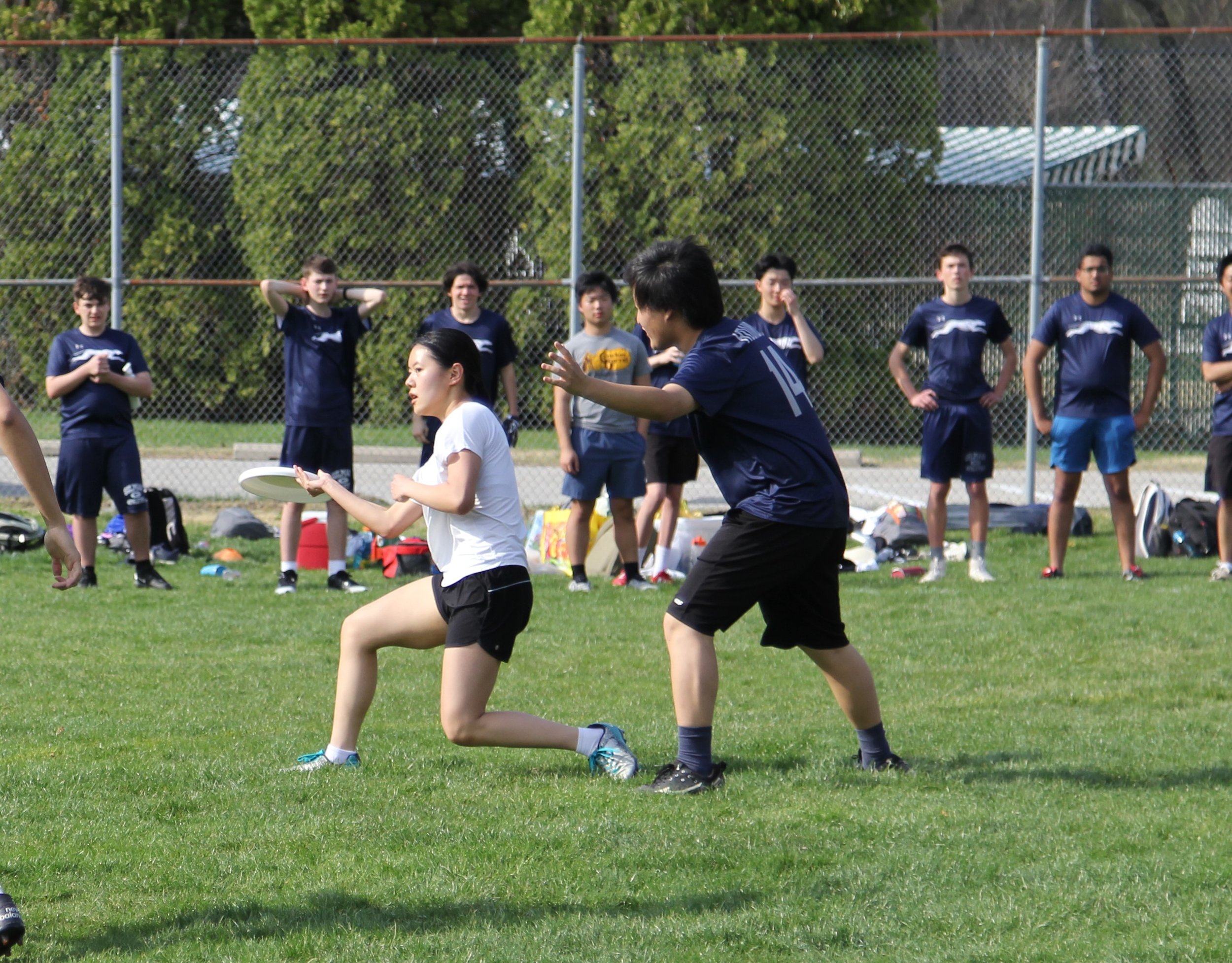 Friends_Loyola_throw_1.JPG