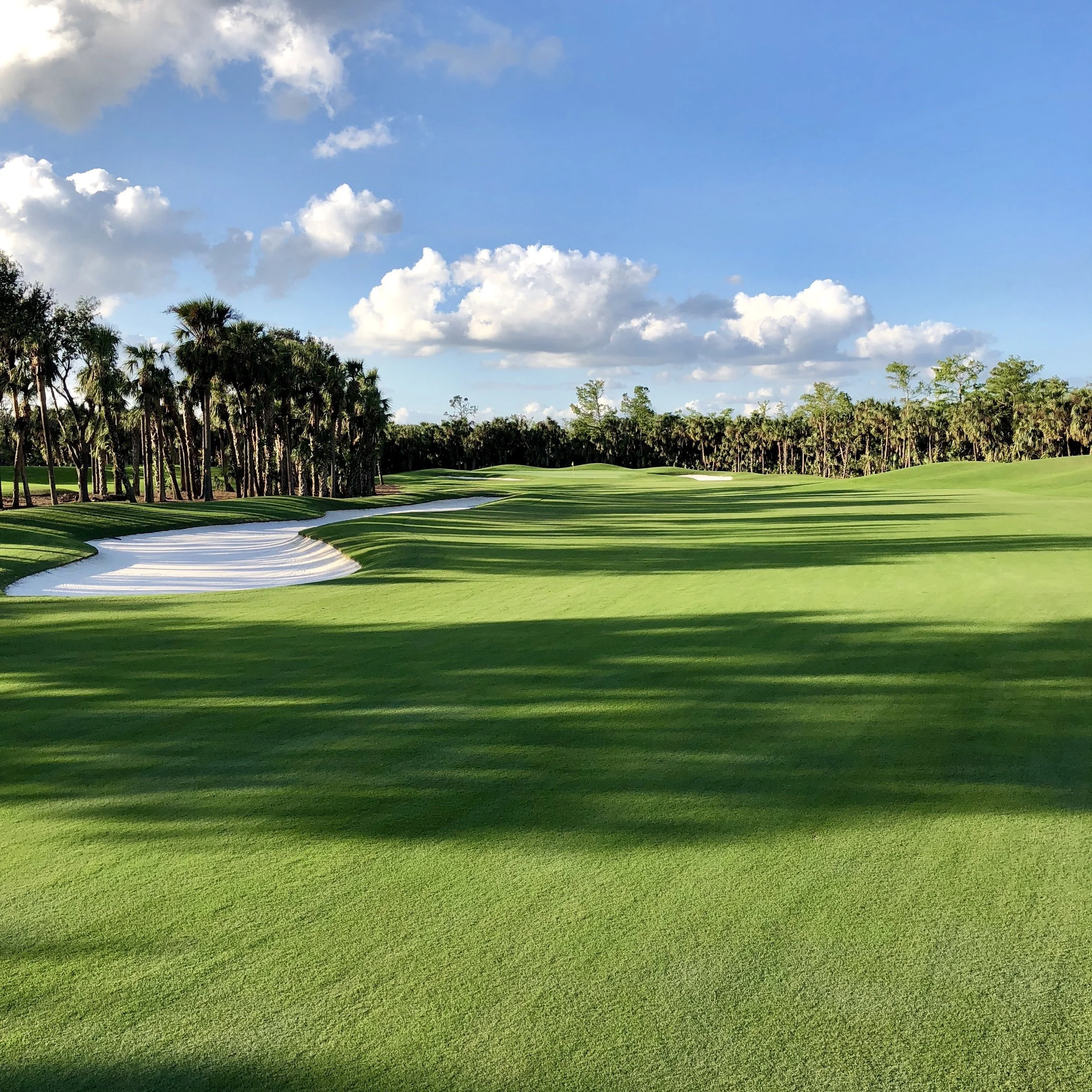 Olde Florida #0