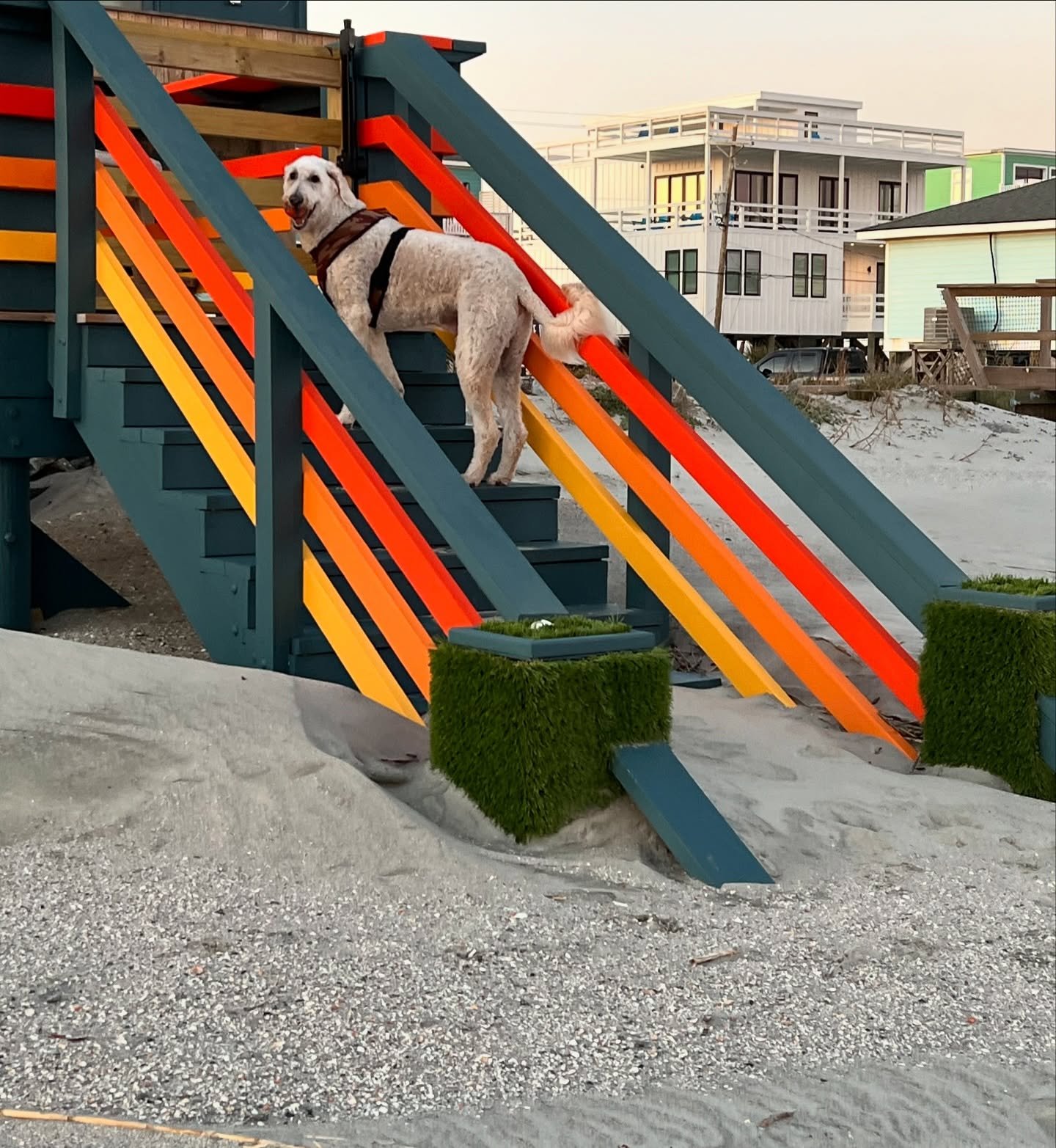 Salty vibes&hellip;XO! #theflippindesigner #saltyshack #follybeach #designer #interiordesigner #architecturaldesigner #charlestondesigner #beachhouse #moderndesign #moderndesigner #aviatornation #charlestonbeaches #sullivansisland #isleofpalmssc #dan