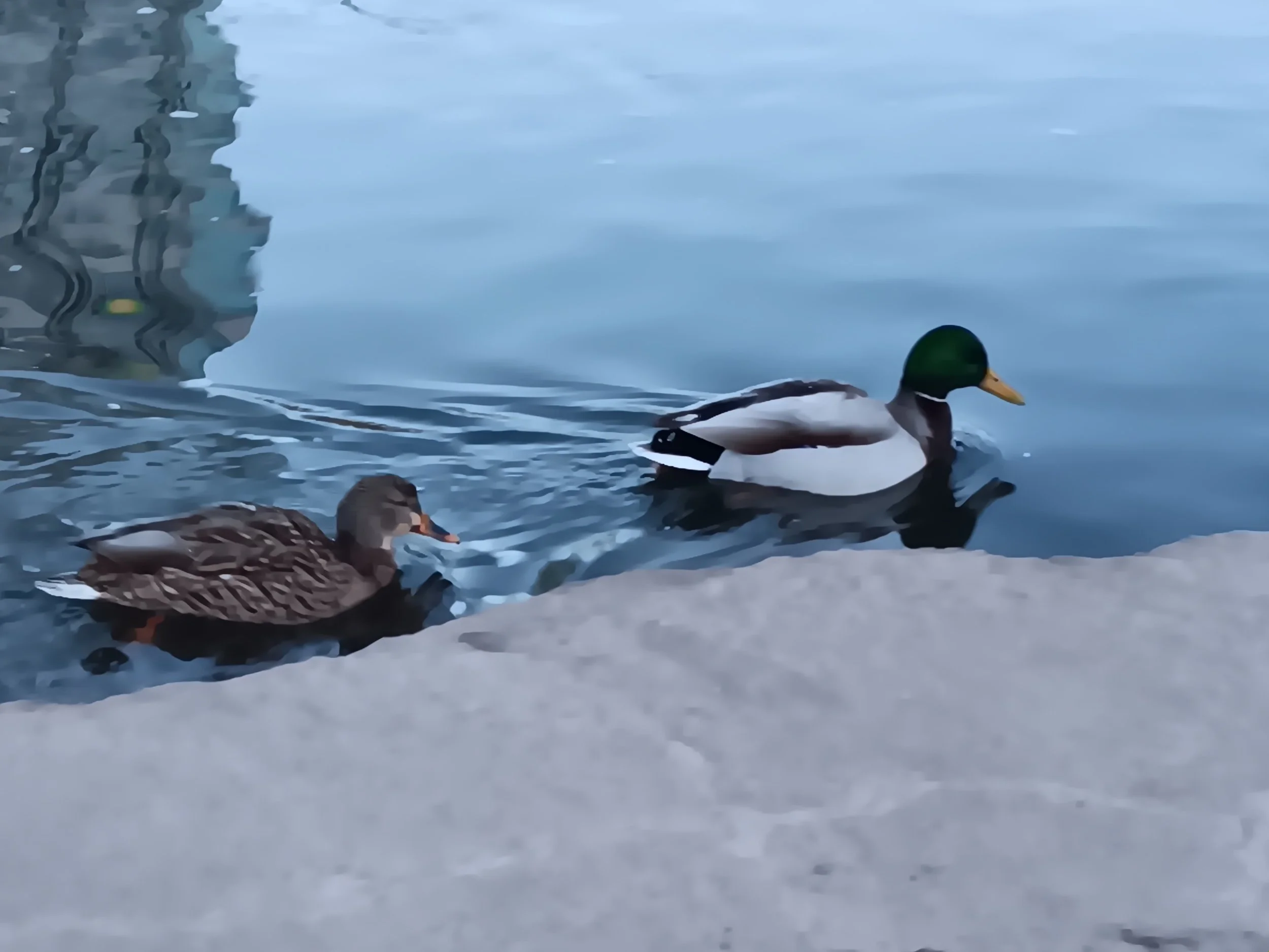 A January Walk in Commons Park