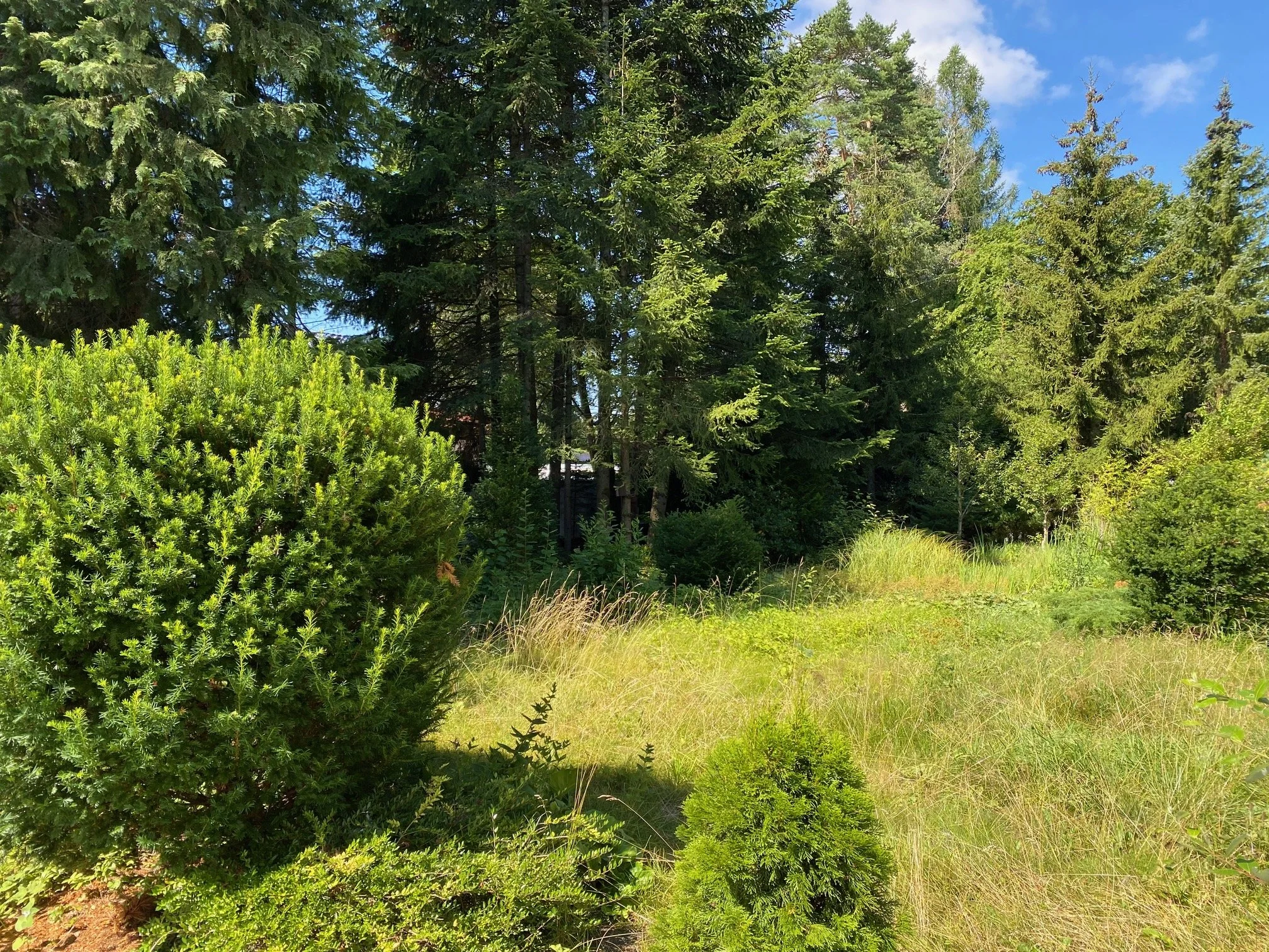 Baugrundstück in Bestlage – Grünwald bei München