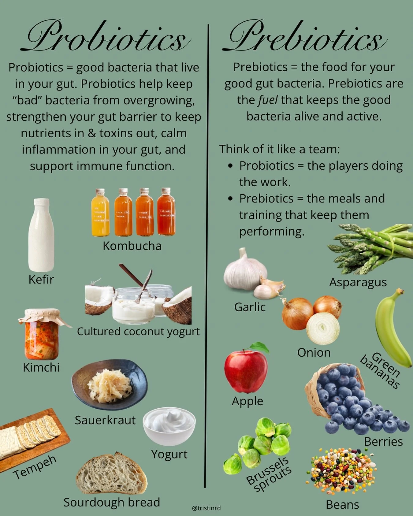 Probiotics 🥛 vs Prebiotics 🍎