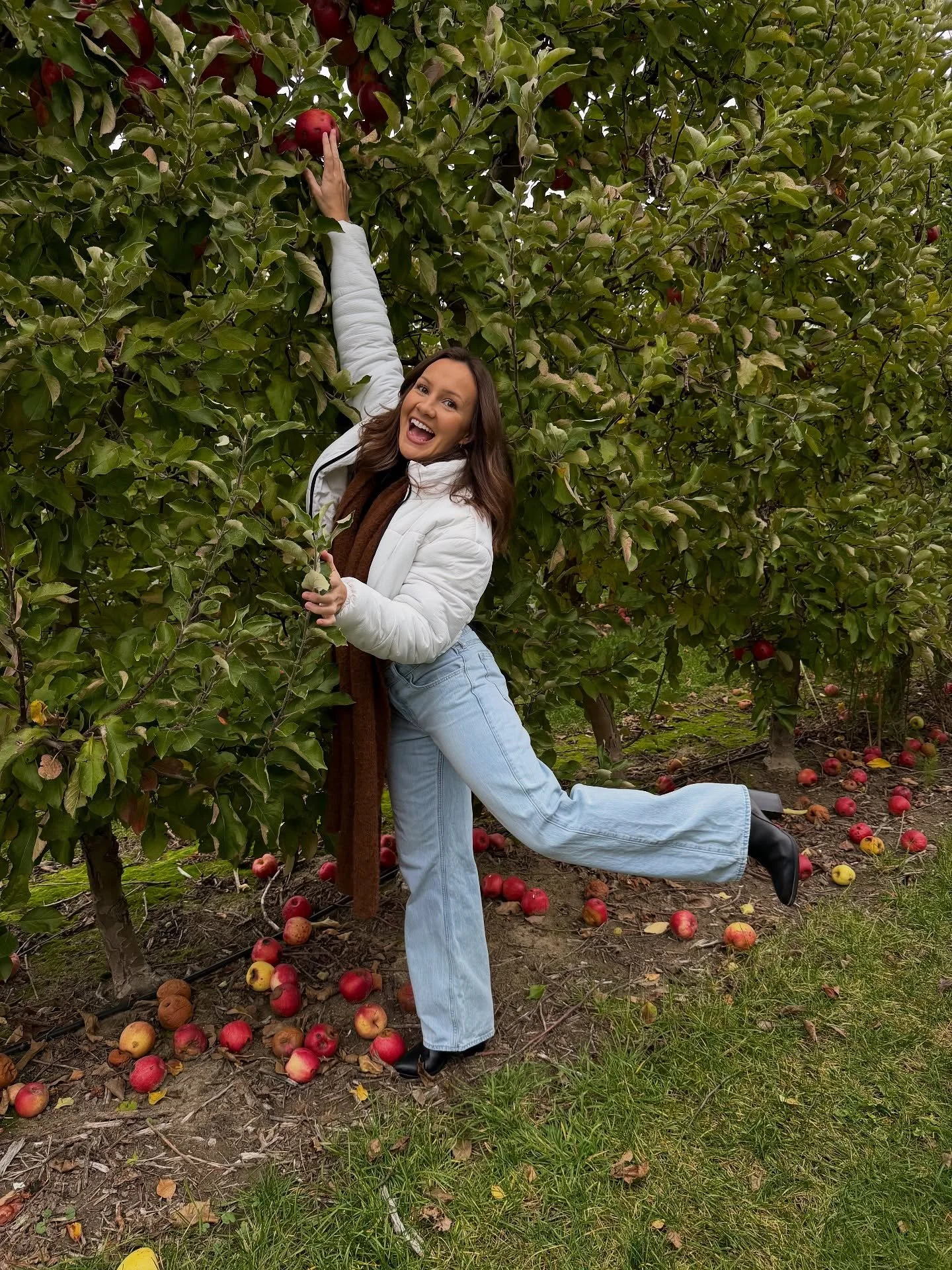 no thoughts, just apples