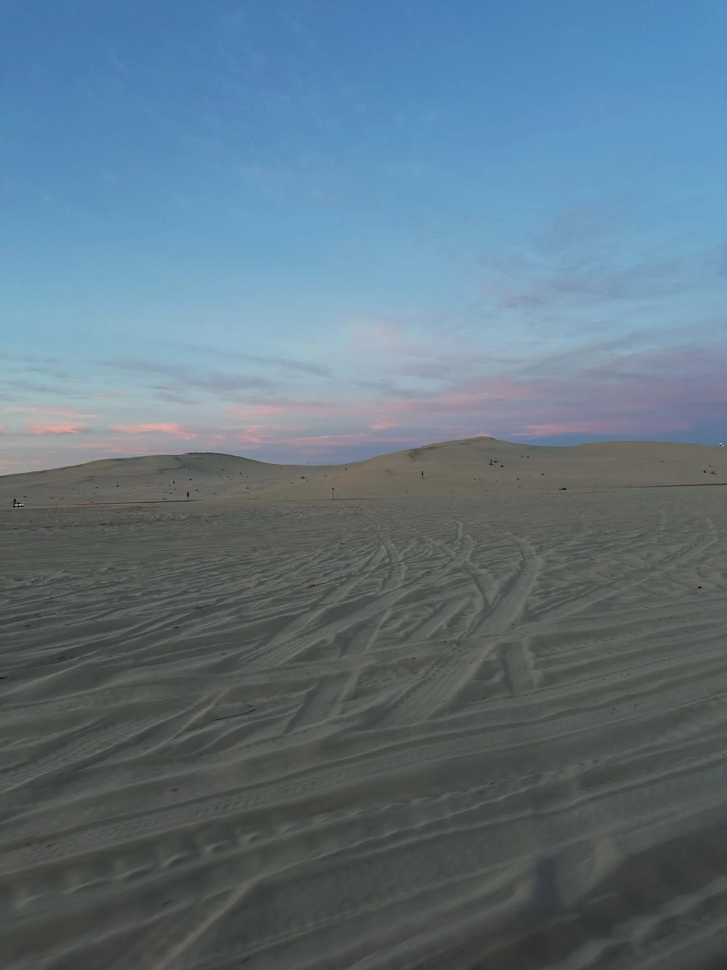 Happy Earth Day 🦋