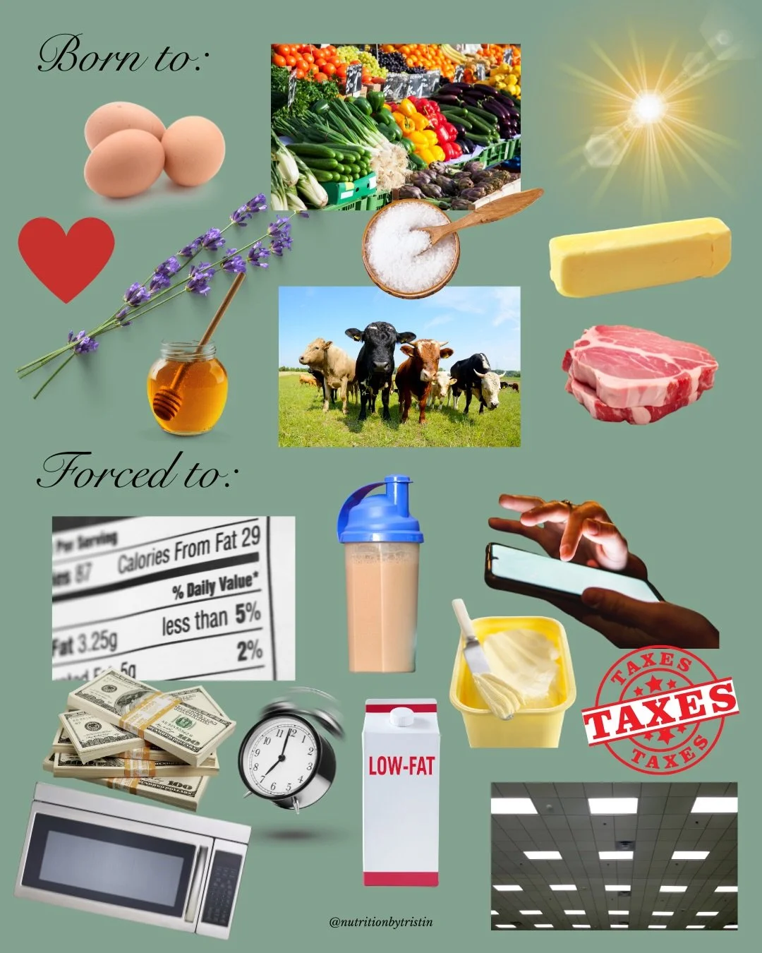 Most people were never taught how to eat in a way that supports their body or helps them maintain a healthy weight.

Instead, we were taught: &ndash; count calories &ndash; rely on &ldquo;low-fat&rdquo; and &ldquo;light&rdquo; products
&ndash; eat ev