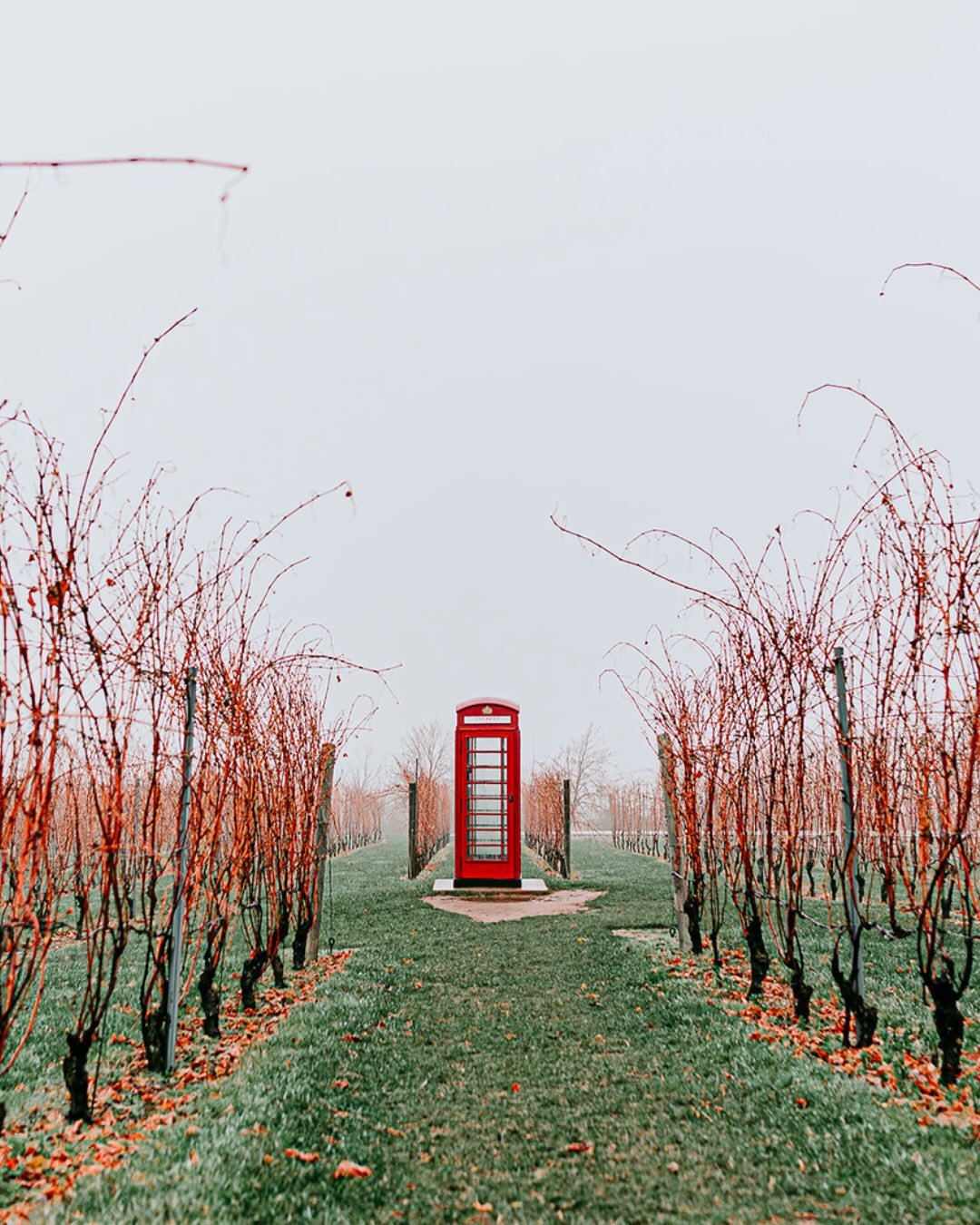 Where a glass of wine comes with a view 🥂

Our favourite thing to sip at Luckett Vineyards? Phone Box Red ☎️

If you&rsquo;re looking to try Luckett Vineyards along with other incredible wineries this winter, then stop by the Nova Scotia Winter Wine