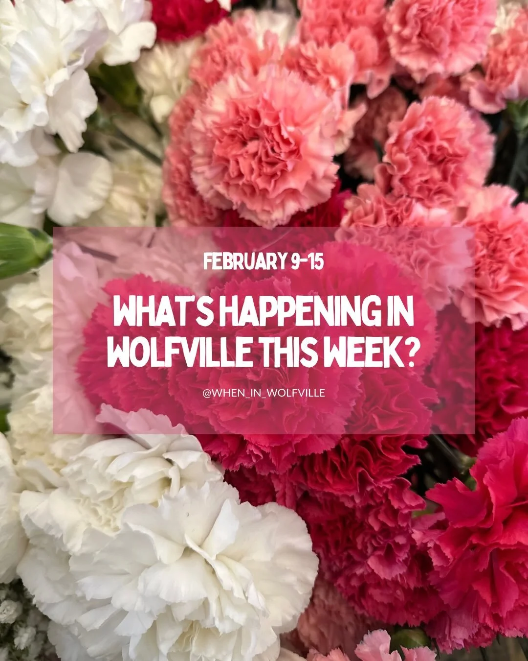 Happy Valentine&rsquo;s week everyone! 

As always, if you know about an event happening in Wolfville that didn&rsquo;t make the post, please share the details in the comments below so we can all learn more about it!