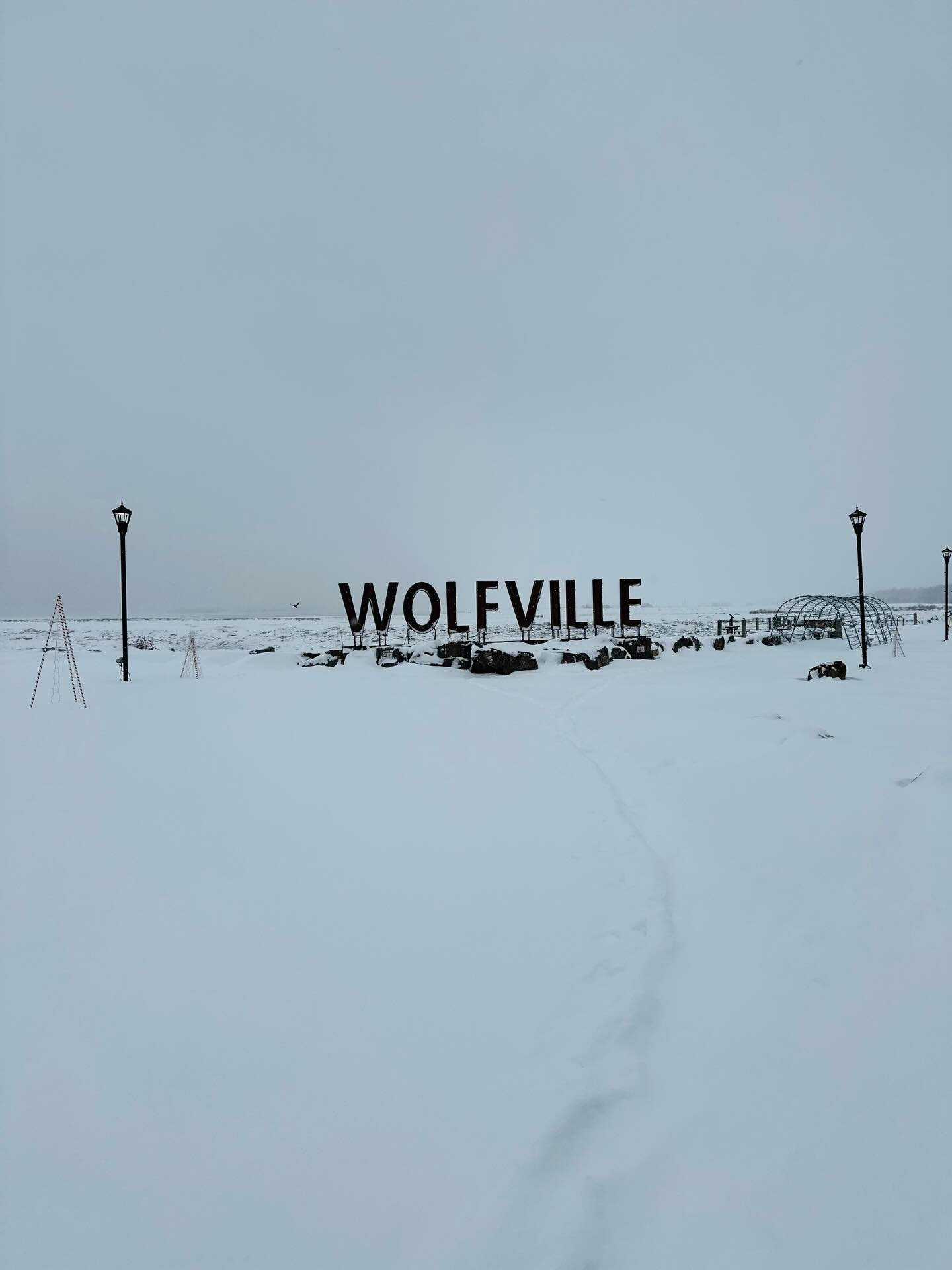 Winter scenes from Wolfville ❄️ 

(With fingers crossed that spring will arrive soon!)