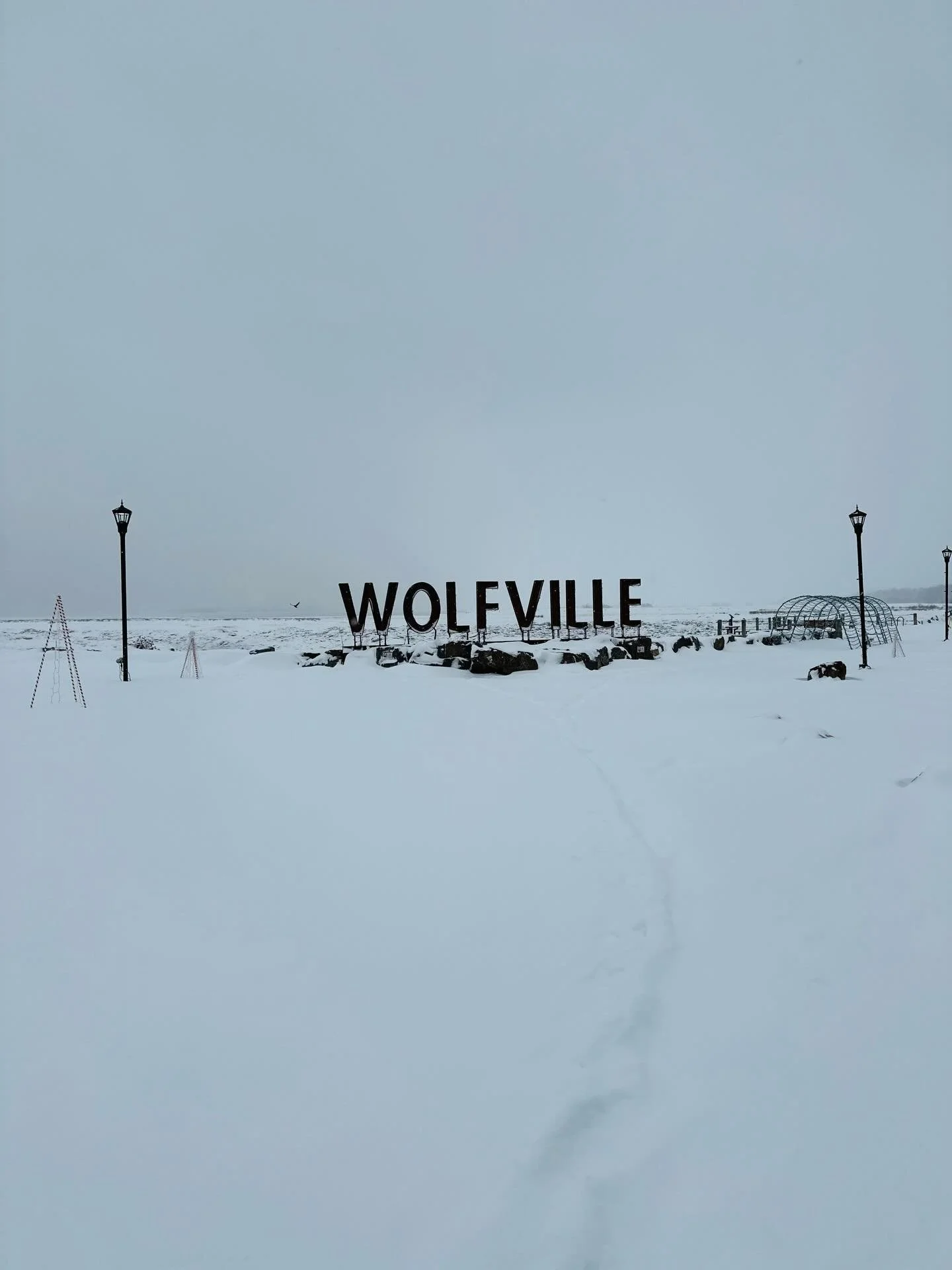 Winter scenes from Wolfville ❄️ 

(With fingers crossed that spring will arrive soon!)