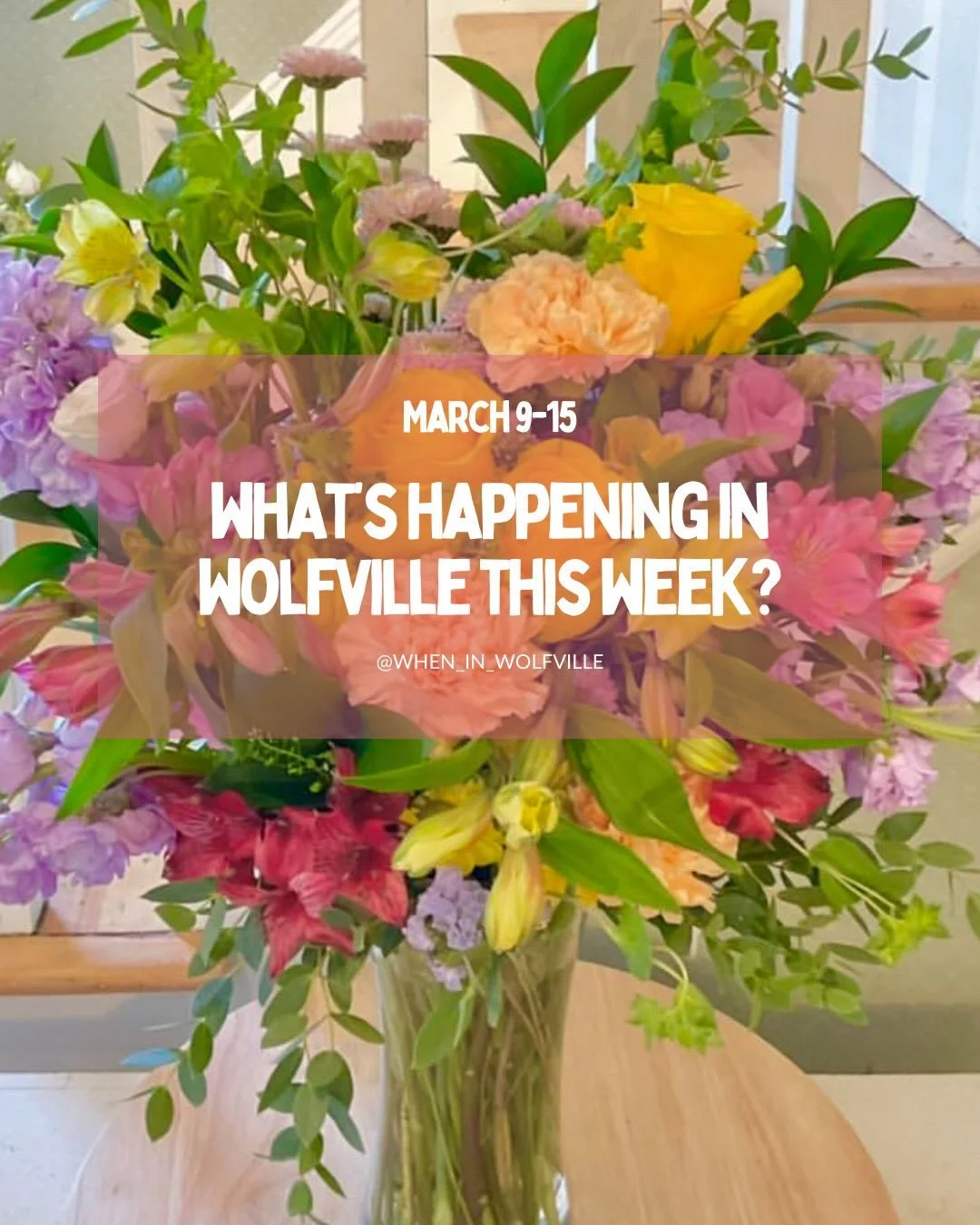Starting the week off with sunshine - could spring finally be on its way?! 🌷 

As always, if you know about an event happening in Wolfville that didn&rsquo;t make the post, please share the details in the comments below so we can all learn more abou