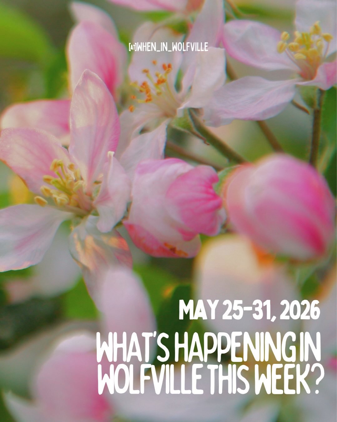 Happy Apple Blossom Festival week! 🌸

As always, if you know about an event happening in Wolfville that didn&rsquo;t make the post, please share the details in the comments below so we can all learn more about it. 

And for the full line-up of Apple