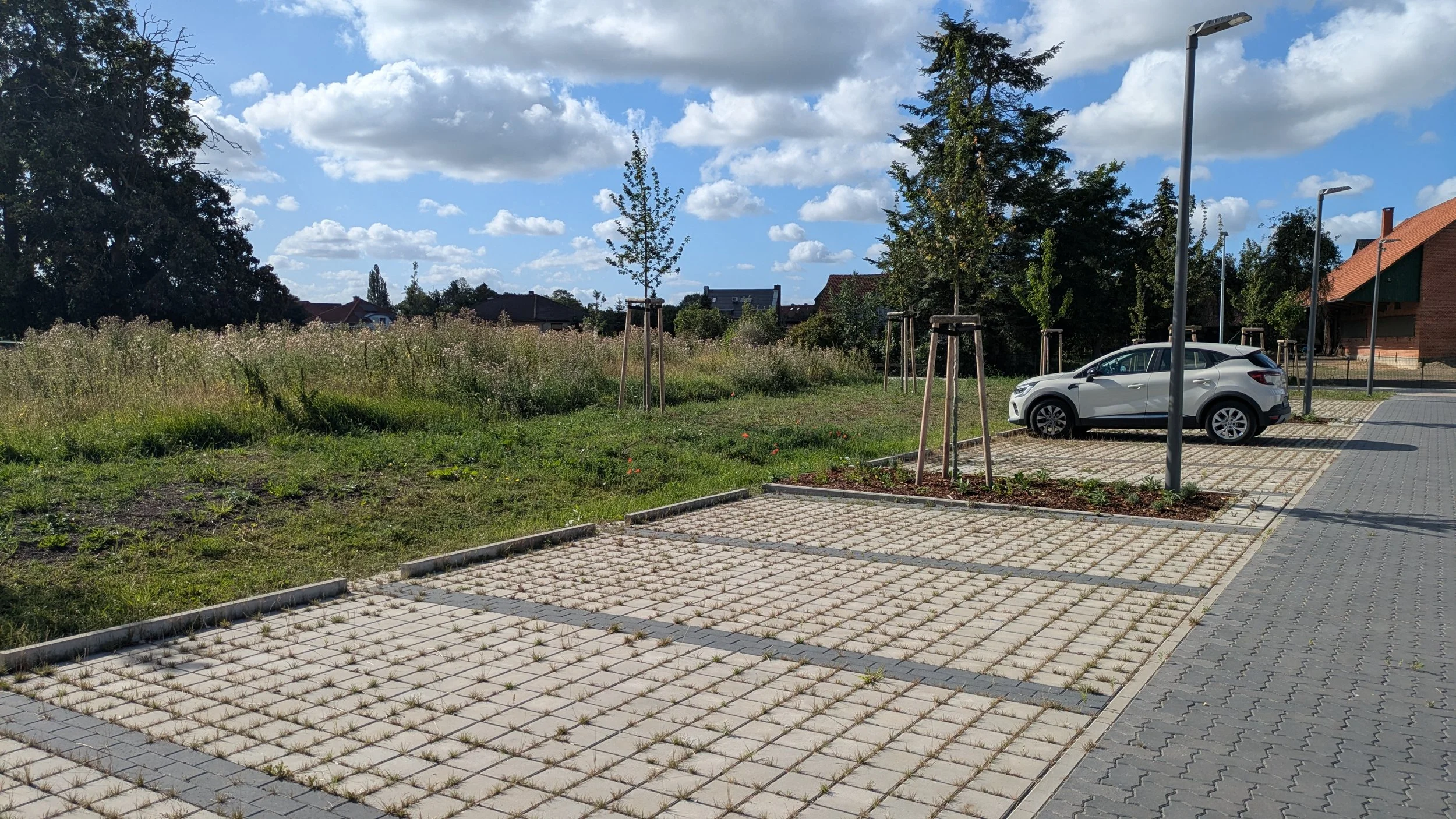 PXL_20260811_080008268.jpg