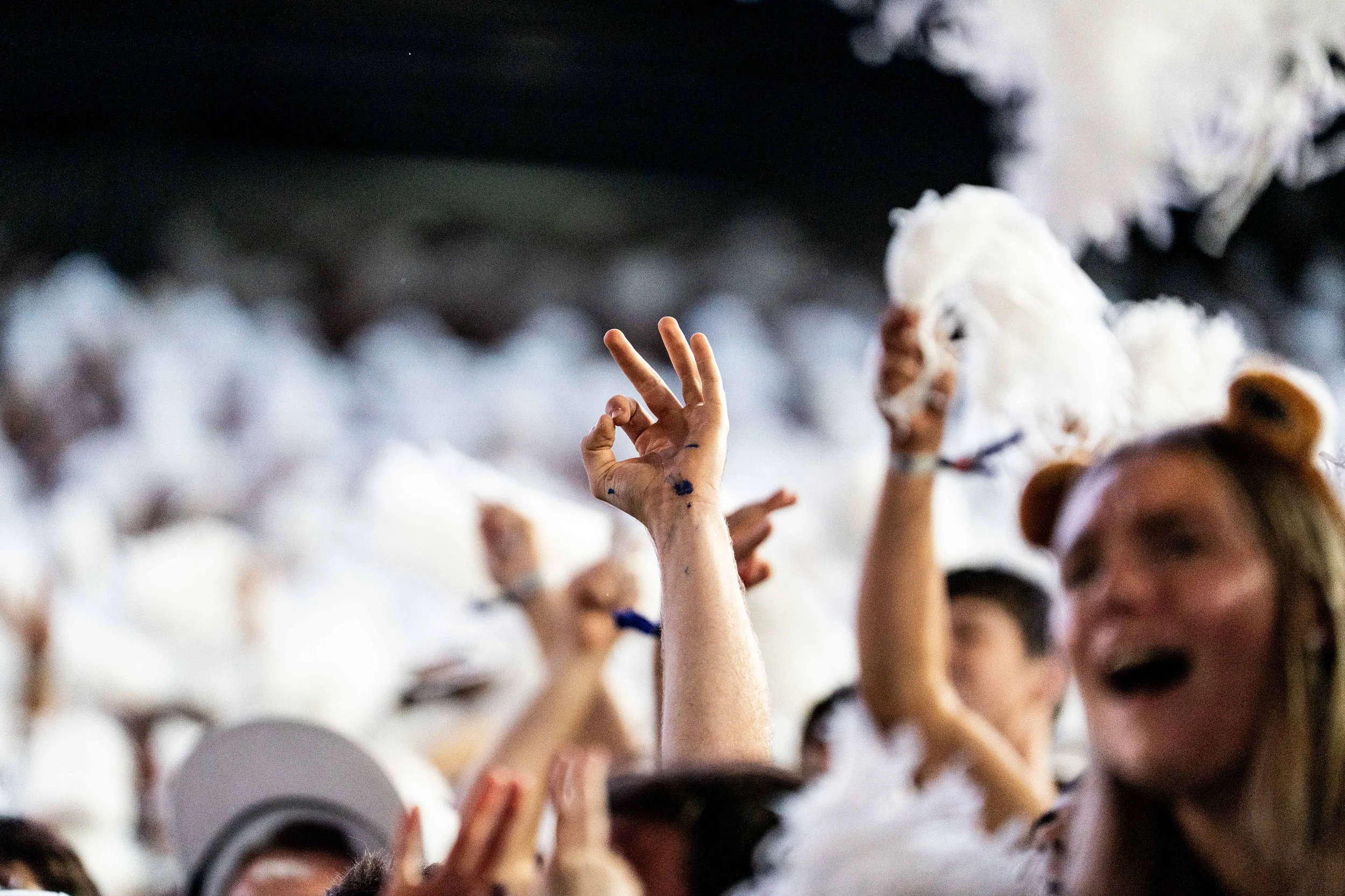 pinstripe (1 of 1)-87.jpg