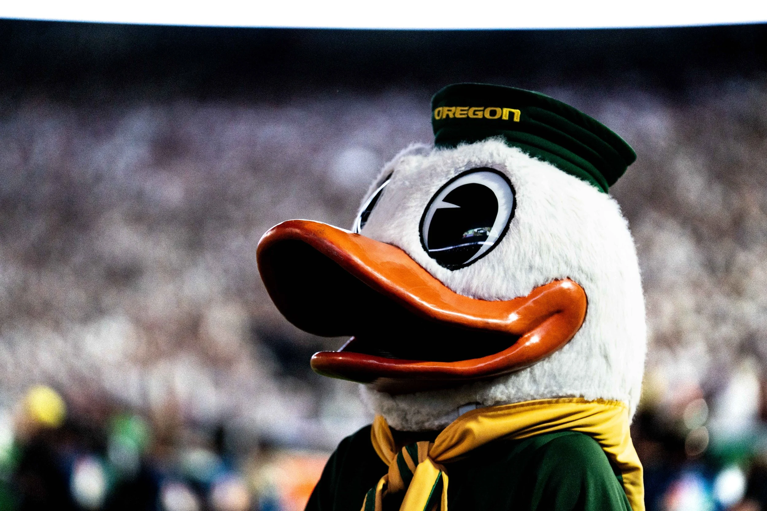 pinstripe (1 of 1)-86.jpg