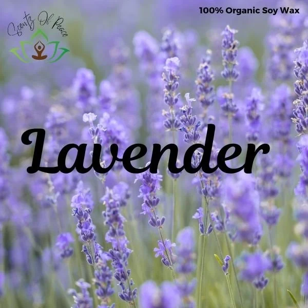 Lavender