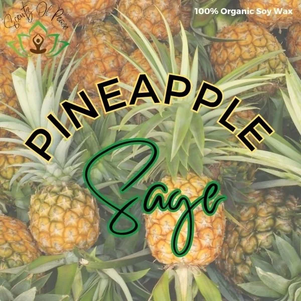 Pineapple Sage