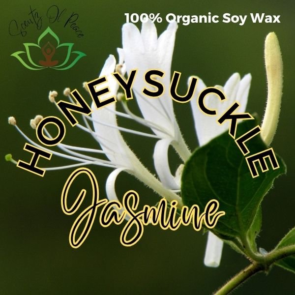 Honeysuckle  Jasmine