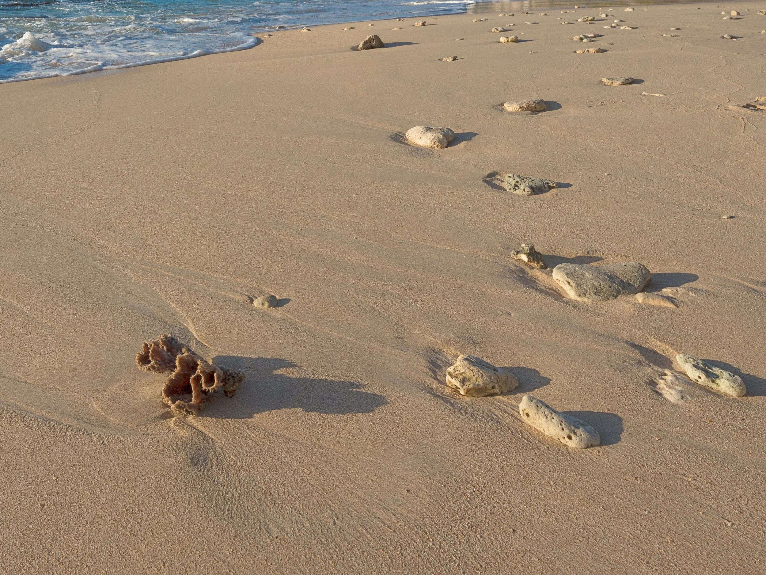  CLOSE TO CORAL IN SURF .jpg