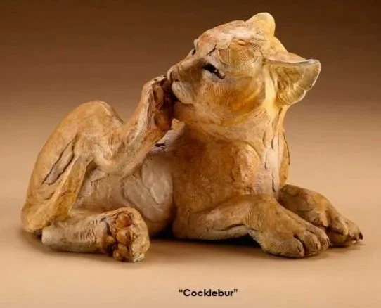 1572014204145620_Cocklebur.jpg