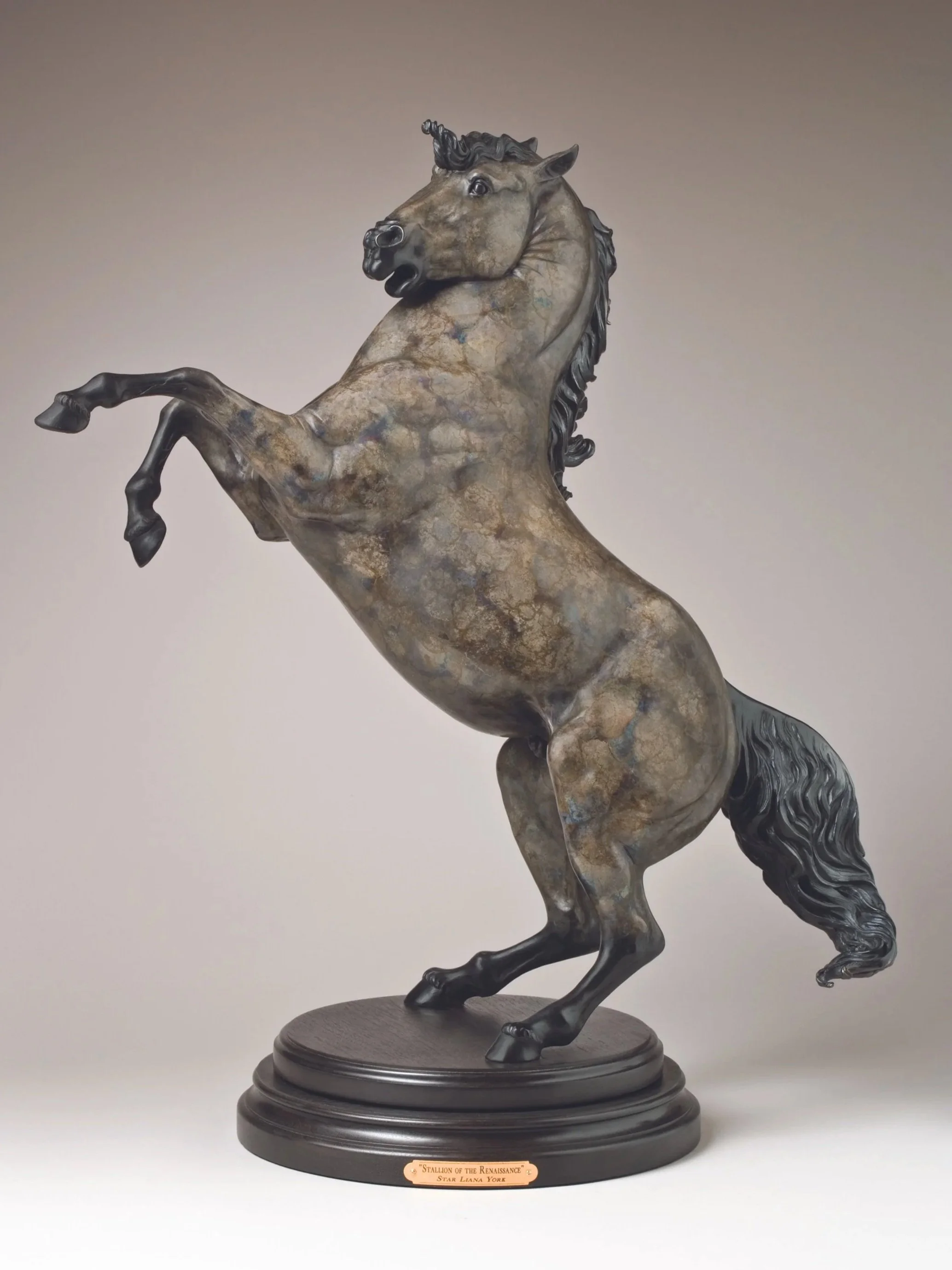 Stallion of the Renaissance